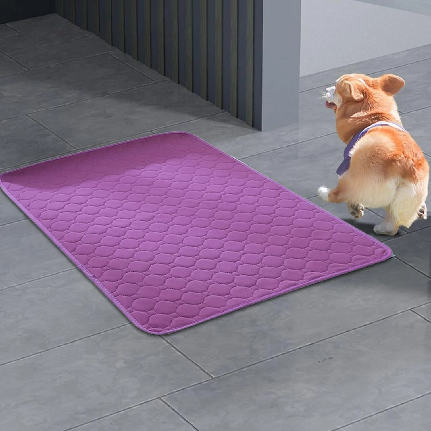 پد ادرار سگ | پد های ادرار قابل شستشو برای توله سگ - زیراندازهای ضد نشت برای حیوانات خانگی، زیراندازهای زایمان ضد لغزش برای همه نژادها، مناسب آموزش ادرار در خانه و داخل منزل برای توله سگ پد ادرار سگ | پد های ادرار قابل شستشو برای توله سگ - زیراندازهای ضد نشت برای حیوانات خانگی، زیراندازهای زایمان ضد لغزش برای همه نژادها، مناسب آموزش ادرار در خانه و داخل منزل برای توله سگ