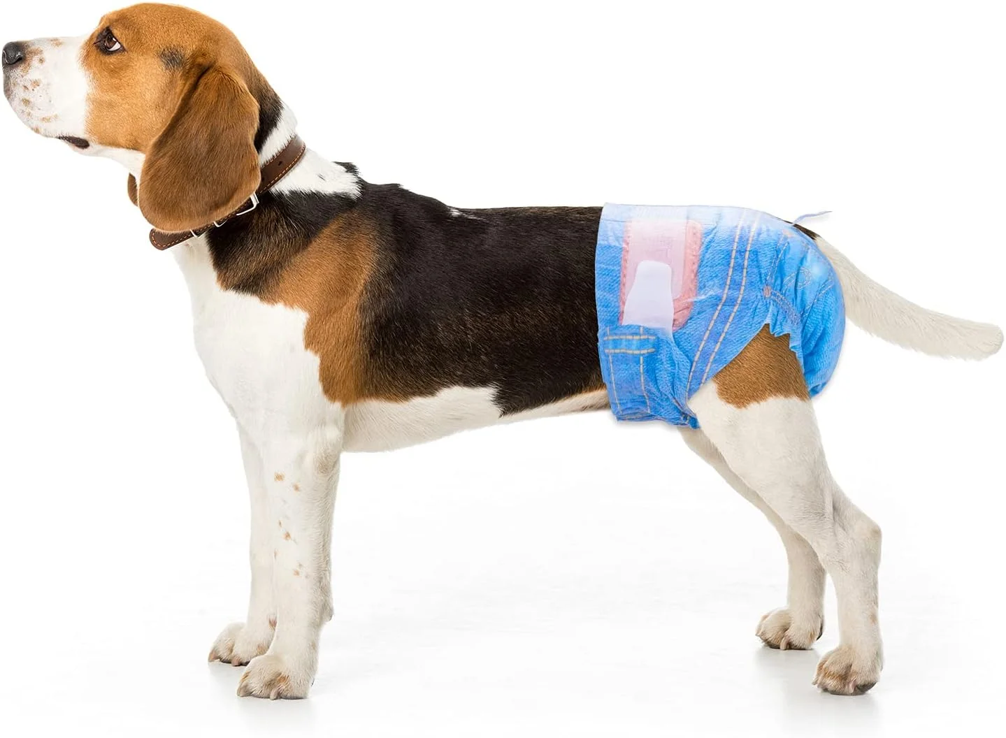 پوشک سگ ماده Pet Soft، پوشک یکبار مصرف سگ، پوشک گربه برای گربه های ماده، پوشک توله سگ 8 عددی خیلی کوچک پوشک سگ ماده Pet Soft، پوشک یکبار مصرف سگ، پوشک گربه برای گربه های ماده، پوشک توله سگ 8 عددی خیلی کوچک