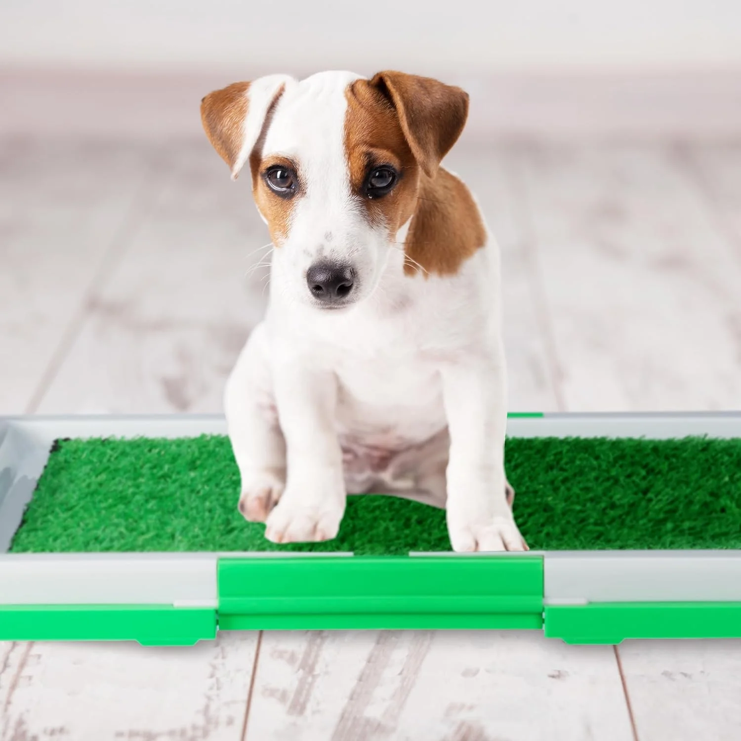سینی بستر توله سگ ریلکس دیز، توالت سگ، مناسب فضای داخلی و خارجی، دارای 4 عدد پد چمن مصنوعی، ابعاد: 5.5x45.5x33 سانتی متر، پلاستیکی، سفید/سبز سینی بستر توله سگ ریلکس دیز، توالت سگ، مناسب فضای داخلی و خارجی، دارای 4 عدد پد چمن مصنوعی، ابعاد: 5.5x45.5x33 سانتی متر، پلاستیکی، سفید/سبز