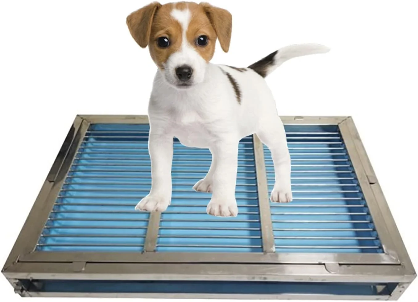 توالت سگ، توالت توله سگ استیل ضد زنگ، توالت بزرگ سگ، پد آموزش ادرار توله سگ در داخل خانه، تشک ضد لغزش با ظرفیت بزرگ، محافظت از کف، تمیز کردن آسان (اندازه: 48x33x7.5 سانتی متر)