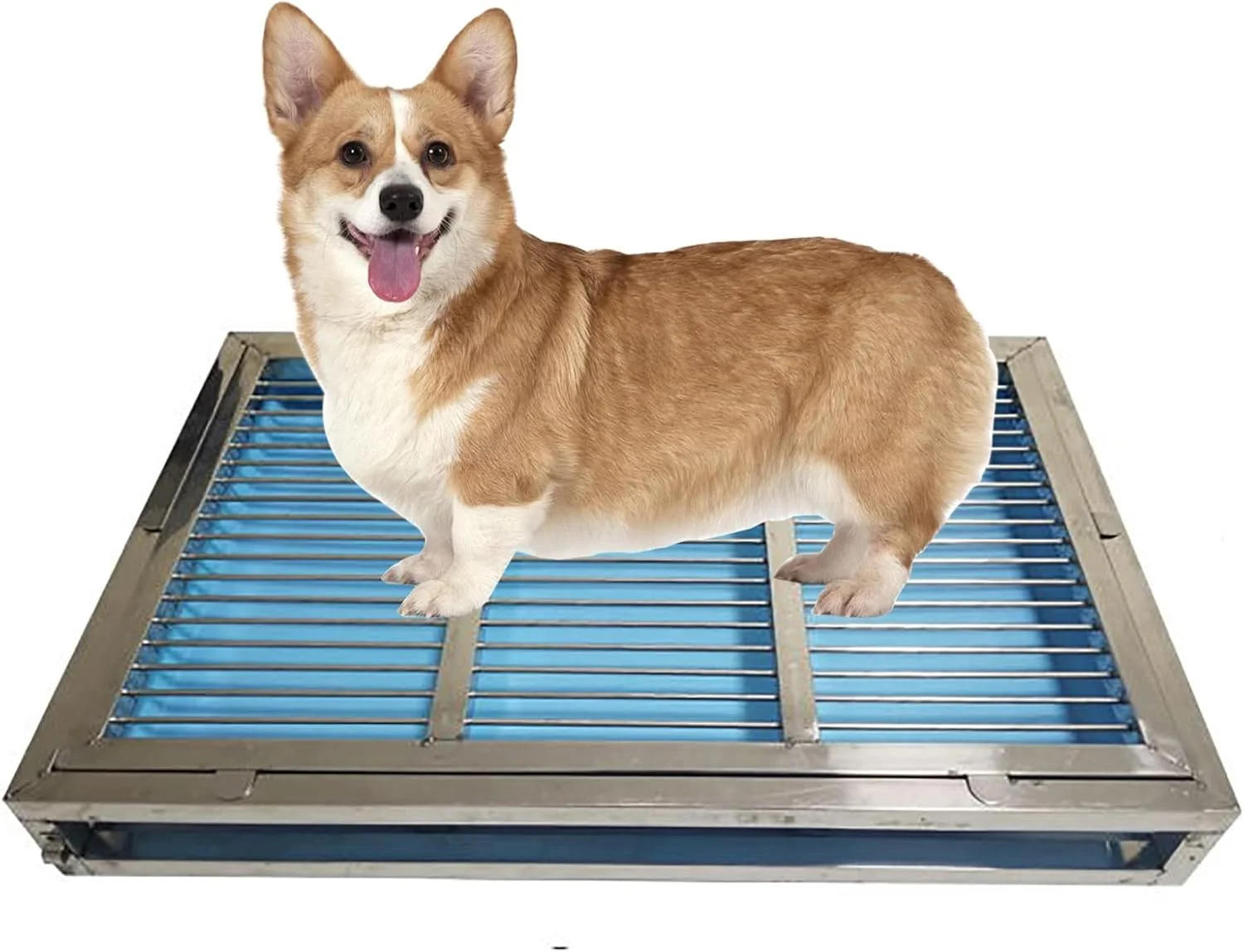 توالت سگ، توالت توله سگ استیل ضد زنگ، پد آموزش ادرار توله سگ در داخل خانه، تشک ضد لغزش ضد چکه با ظرفیت بزرگ، محافظت از کف و تمیز کردن آسان (اندازه: 85x58x7.5 سانتی متر)