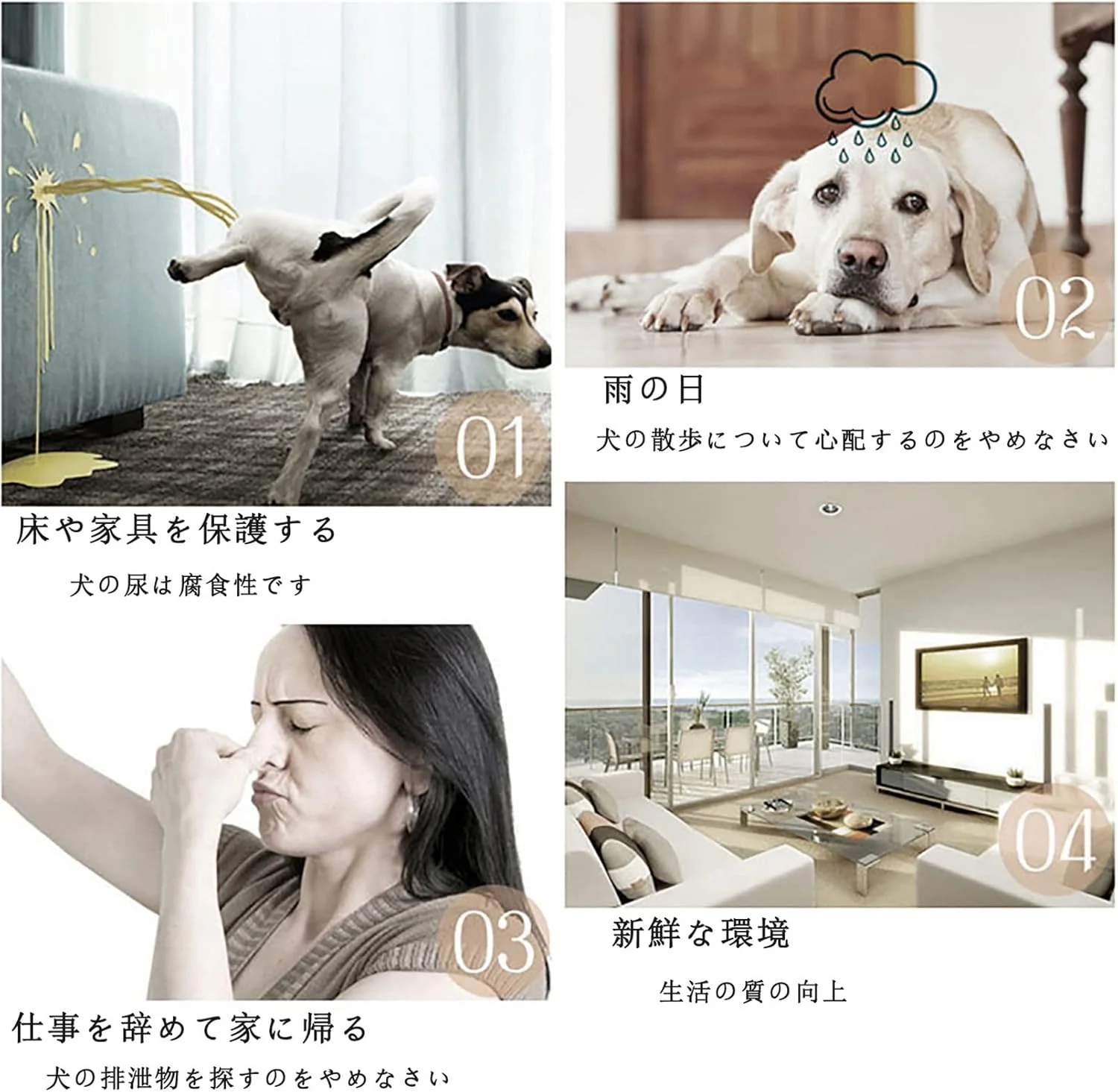 توالت سگ، توالت توله سگ استیل ضد زنگ، پد آموزش ادرار توله سگ در داخل خانه، تشک ضد لغزش ضد چکه با ظرفیت بزرگ، محافظت از کف و تمیز کردن آسان (اندازه: 85x58x7.5 سانتی متر) توالت سگ، توالت توله سگ استیل ضد زنگ، پد آموزش ادرار توله سگ در داخل خانه، تشک ضد لغزش ضد چکه با ظرفیت بزرگ، محافظت از کف و تمیز کردن آسان (اندازه: 85x58x7.5 سانتی متر)