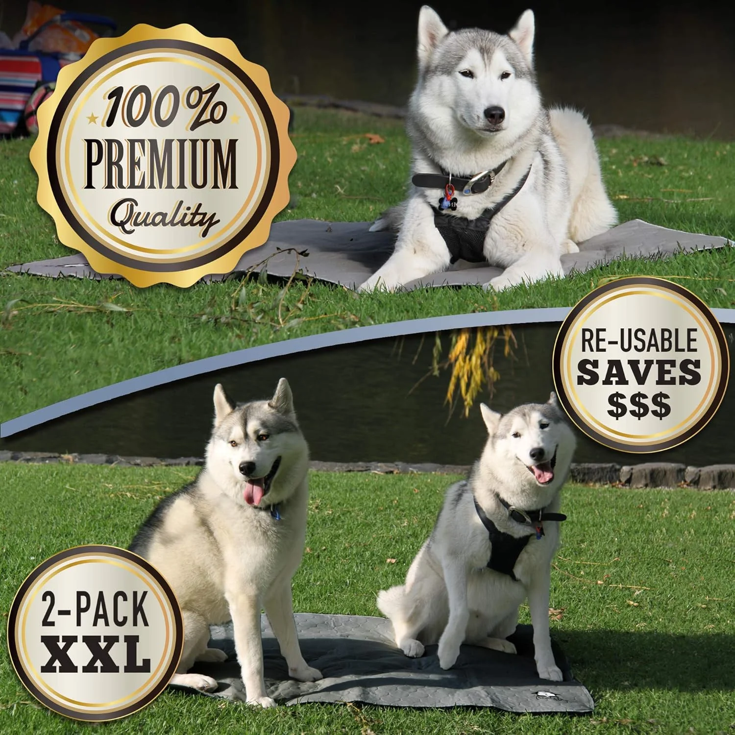 TRENDY DEN CREATIONS - پدهای ادرار شوی سگ - پدهای آموزشی توله سگ قابل استفاده مجدد - بسته 2 عددی پد آموزشی سگ بسیار بزرگ 36"X48" - تخت سگ یا گربه - پدهای زایمان باکس سگ یا لانه پد ادرار توله سگ