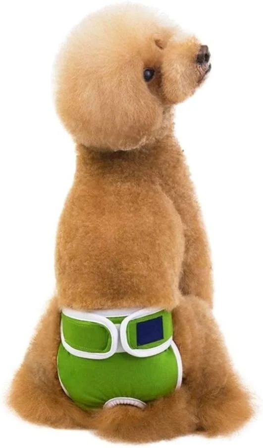 شورت سگ ماده Zhengpingpai، شورت فیزیولوژیکی توله سگ، پوشک، لباس زیر حیوانات خانگی برای سگ های دخترانه کوچک و متوسط (رنگ: سبز، سایز: XL)