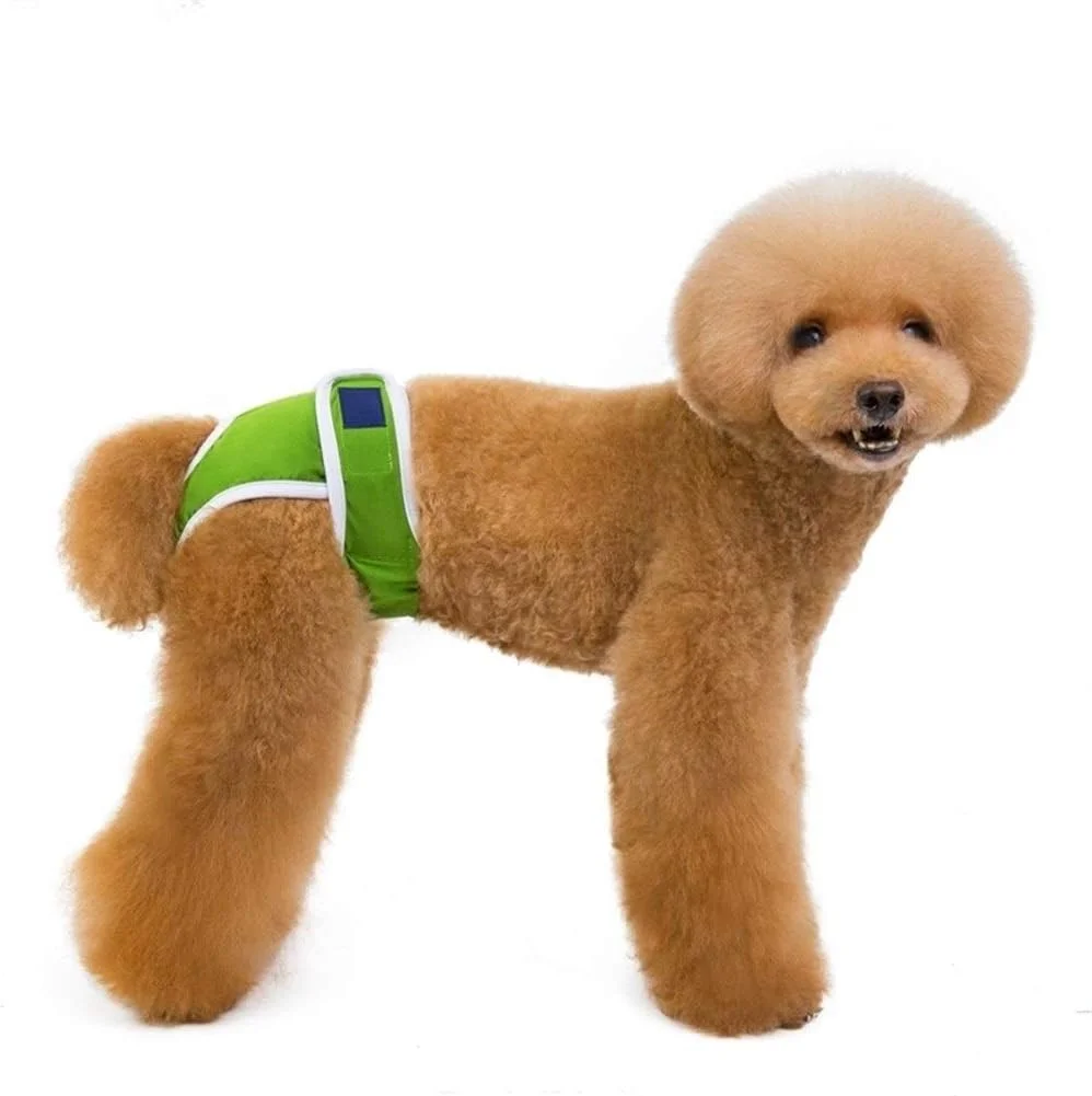 شورت سگ ماده Zhengpingpai، شورت فیزیولوژیکی توله سگ، پوشک، لباس زیر حیوانات خانگی برای سگ های دخترانه کوچک و متوسط (رنگ: سبز، سایز: XL)