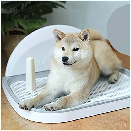 سینی آموزش توالت سگ YXX با توری و پوشش دیواری، نگهدارنده بزرگ پد دستشویی توله سگ برای حمام، پاسیو، خانه، بالکن داخلی، پلاستیکی (رنگ: سفید، اندازه: 46×37.5×4.5 سانتی متر) سینی آموزش توالت سگ YXX با توری و پوشش دیواری، نگهدارنده بزرگ پد دستشویی توله سگ برای حمام، پاسیو، خانه، بالکن داخلی، پلاستیکی (رنگ: سفید، اندازه: 46×37.5×4.5 سانتی متر)