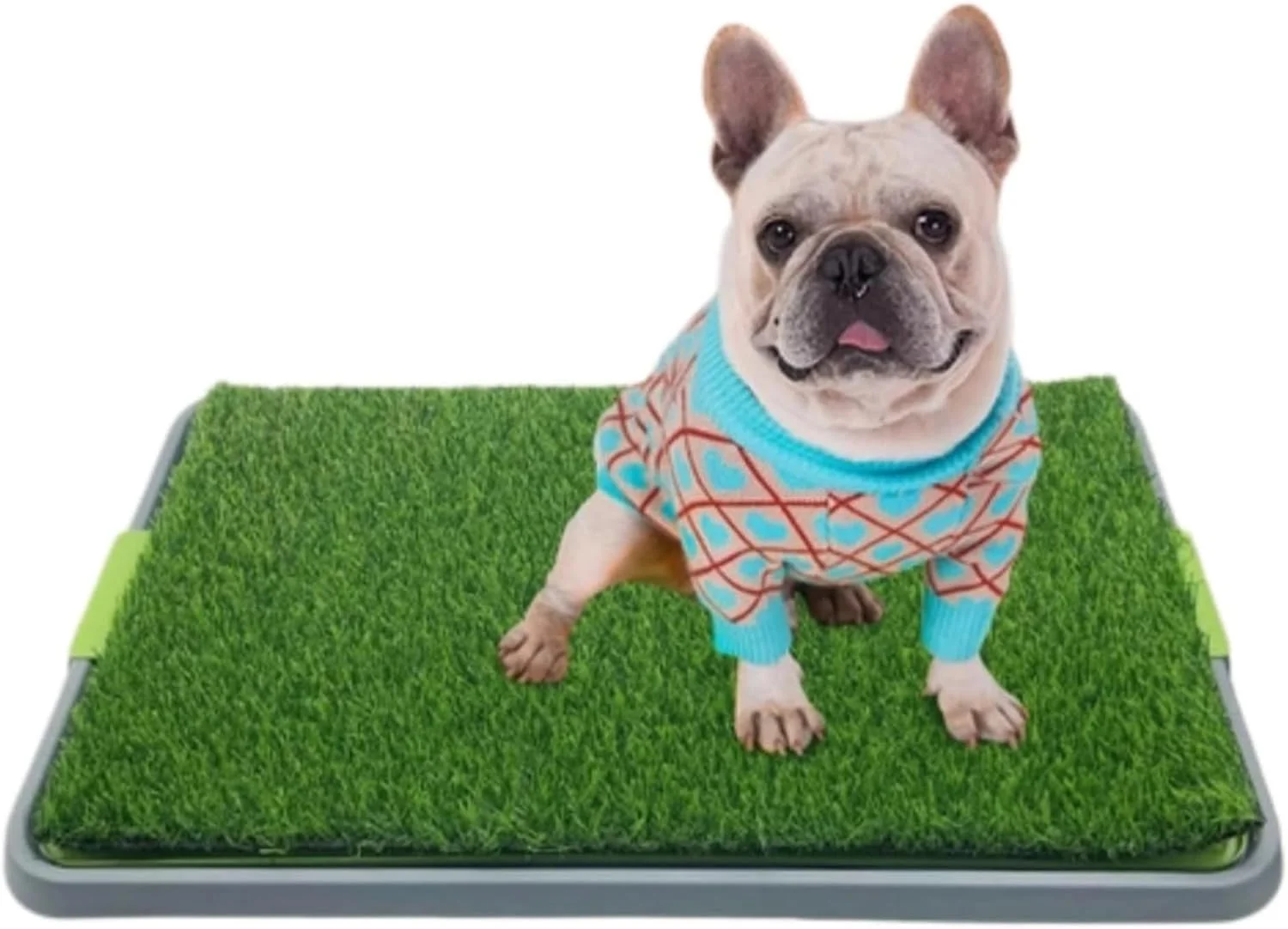 پد چمن سگ Zjyufy با سینی، سینی توالت سگ با چمن مصنوعی، پد آموزش توالت توله سگ قابل حمل برای داخل/خارج از منزل، چمن مصنوعی قابل استفاده مجدد برای ادرار سگ، جعبه بستر سگ پد چمن سگ Zjyufy با سینی، سینی توالت سگ با چمن مصنوعی، پد آموزش توالت توله سگ قابل حمل برای داخل/خارج از منزل، چمن مصنوعی قابل استفاده مجدد برای ادرار سگ، جعبه بستر سگ