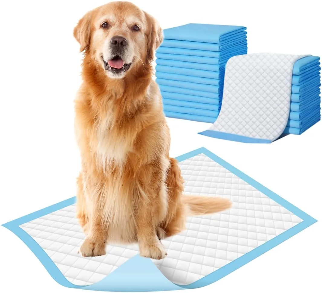 پدهای آموزشی سگ زویوان با نوار چسب کف - بسته 60 عددی | پد ادرار برای سگ، زیرانداز ادرار برای سگ، زیرانداز توالت سگ، پد آموزشی توله سگ، پد آموزش دستشویی سگ - 60*90 سانتی متر - مدل 2 پدهای آموزشی سگ زویوان با نوار چسب کف - بسته 60 عددی | پد ادرار برای سگ، زیرانداز ادرار برای سگ، زیرانداز توالت سگ، پد آموزشی توله سگ، پد آموزش دستشویی سگ - 60*90 سانتی متر - مدل 2