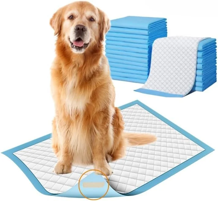 پدهای ادرار سگ ZOIVANE XL | بسته 10 عددی | پدهای آموزشی حیوانات خانگی با نوار چسب کف، 60x90 سانتی متر، پد ادرار سگ، سنگین، خشک شدن سریع و ضد نشت، مناسب برای توله سگ ها، سگ های کوچک، متوسط ​​و بزرگ