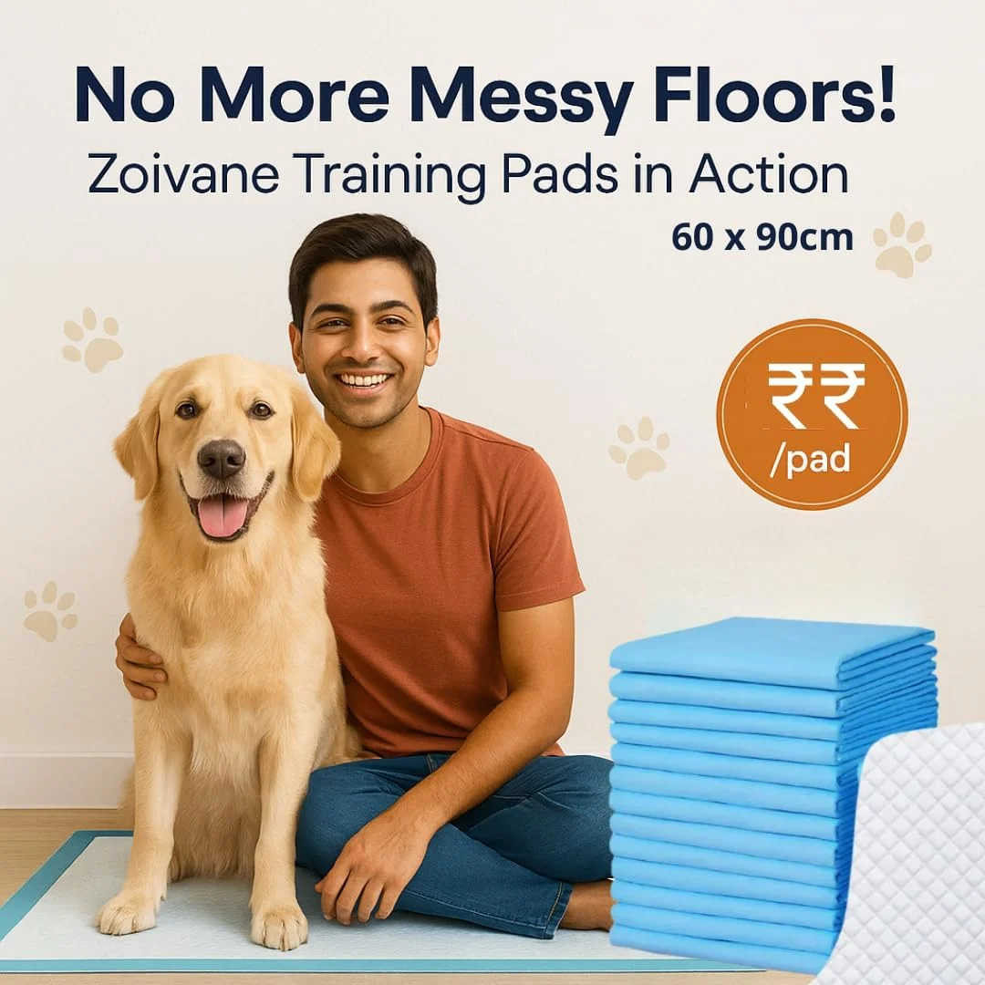 پدهای ادرار سگ ZOIVANE XL | بسته 10 عددی | پدهای آموزشی حیوانات خانگی با نوار چسب کف، 60x90 سانتی متر، پد ادرار سگ، سنگین، خشک شدن سریع و ضد نشت، مناسب برای توله سگ ها، سگ های کوچک، متوسط ​​و بزرگ