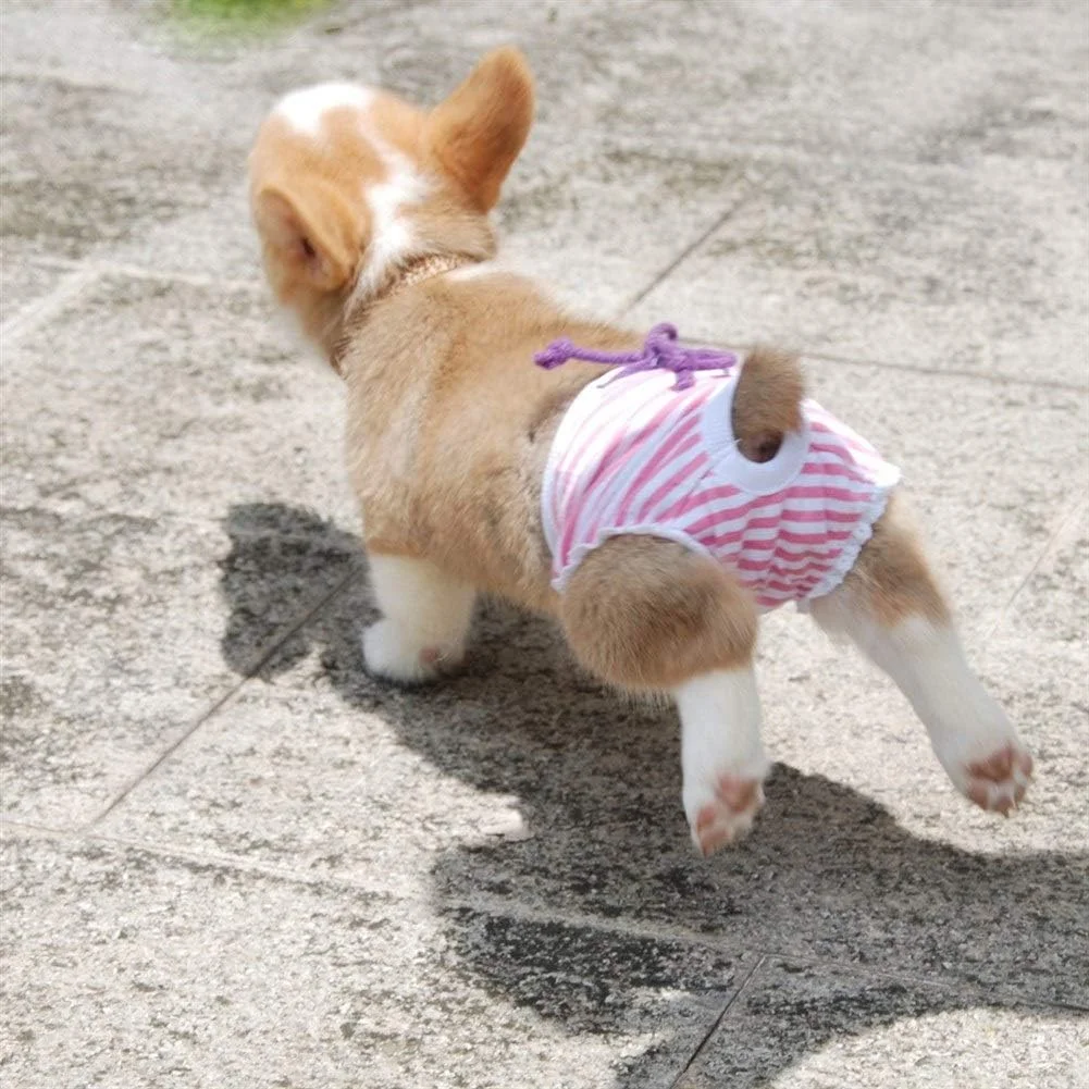 شورت بهداشتی سگ ماده ژنگ پینگ پای، شورت و پوشک سگ قابل شستشو برای دوران قاعدگی (رنگ: صورتی، سایز: S)