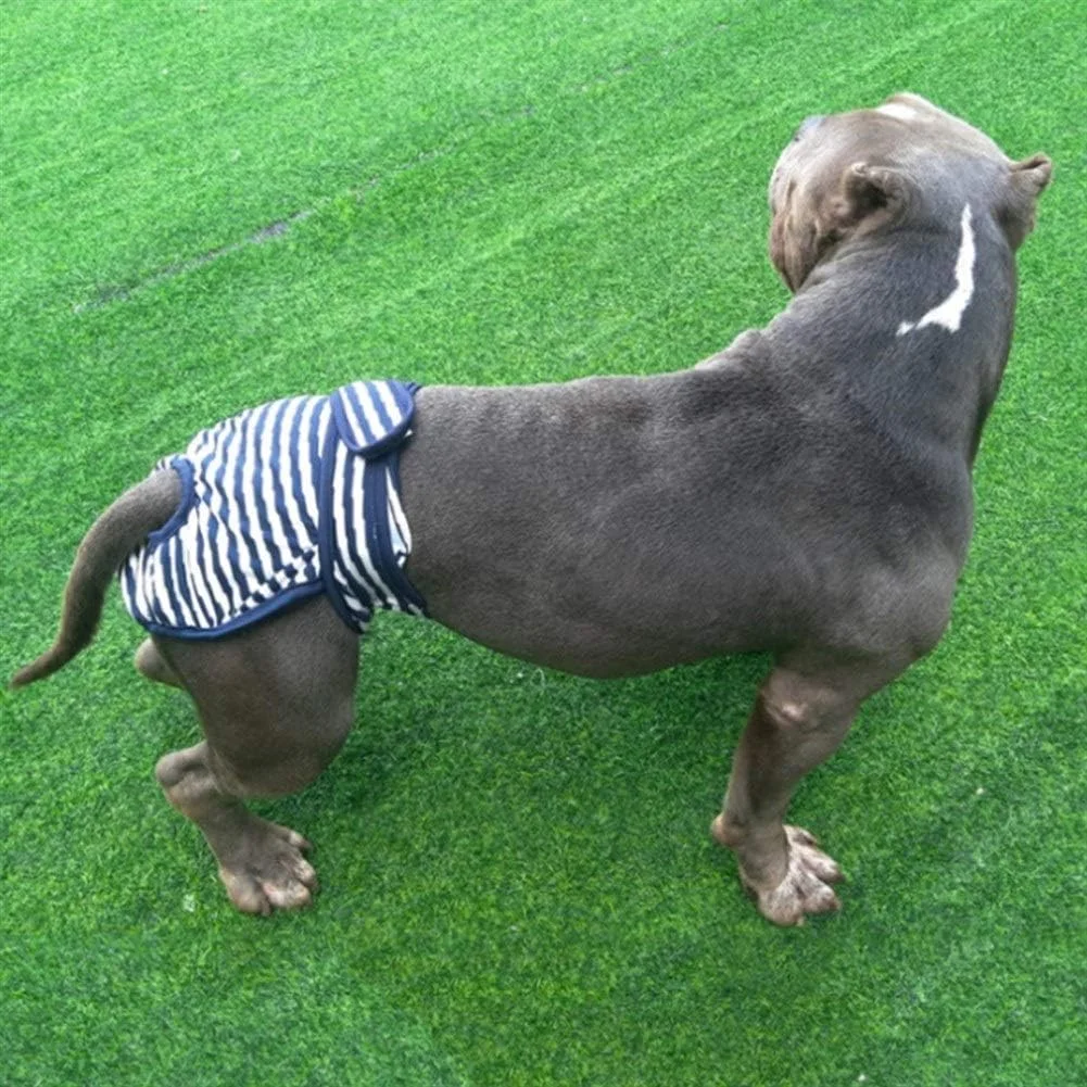 شلوار بهداشتی سگ ماده ژنگ پینگ پای، مناسب دوران قاعدگی، لباس زیر سگ، سایز کوچک، متوسط و بزرگ (رنگ: قهوه ای، سایز: XL)