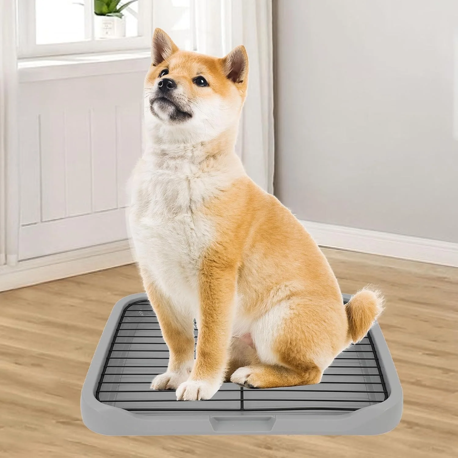 توالت سگ Zerodis با طراحی مشبک داخلی برای جلوگیری از واژگونی، تمیز کردن آسان، مناسب برای سگ های کوچک و متوسط، جنس با کیفیت