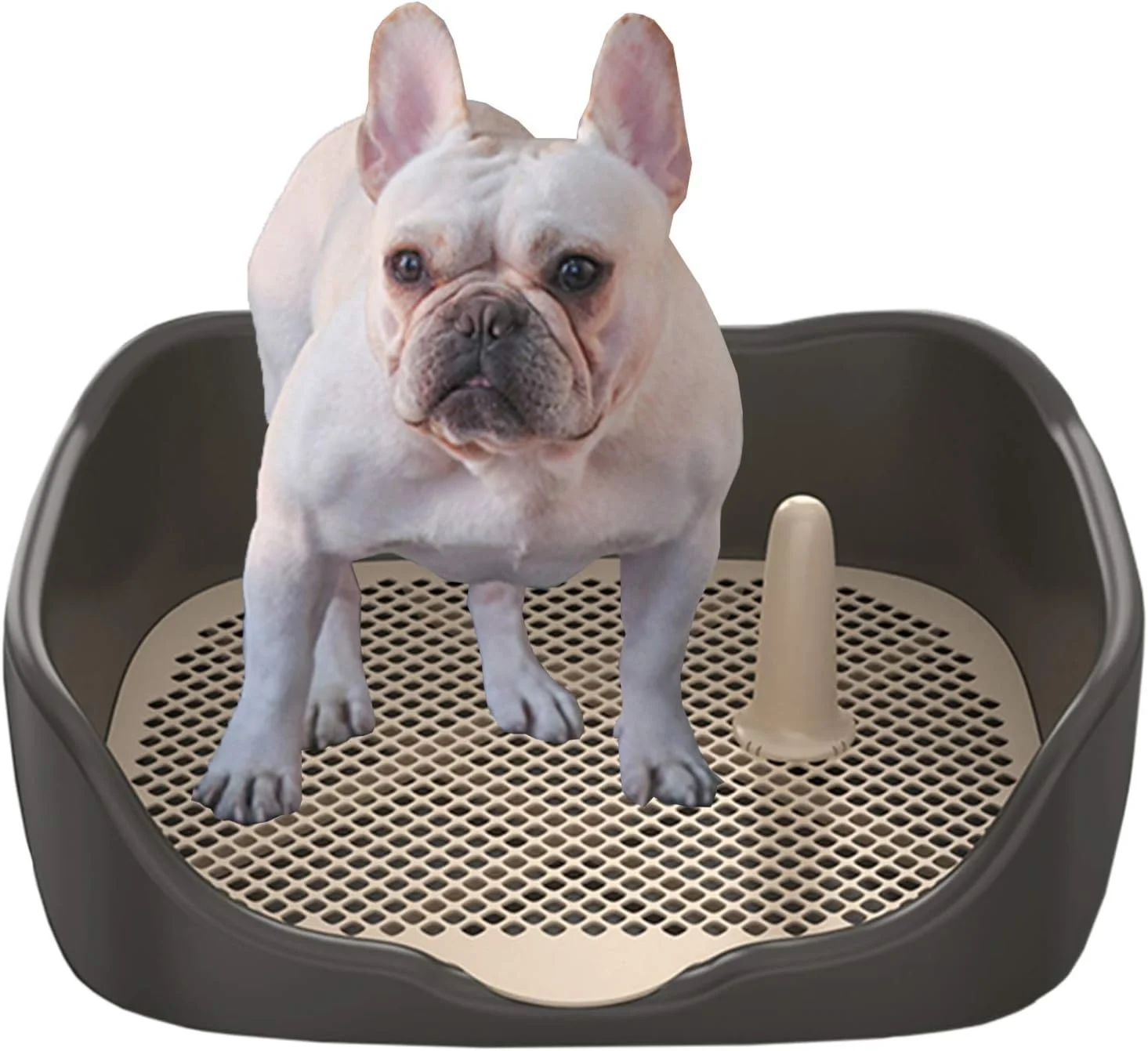 آموزش دستشویی توله سگ و سگ YXX با توری و میله جداشدنی، سینی توالت قابل حمل پلاستیکی حصاردار برای سگ و گربه های کوچک تا بزرگ (رنگ: استایل-4، سایز: 45×38×16 سانتی متر)