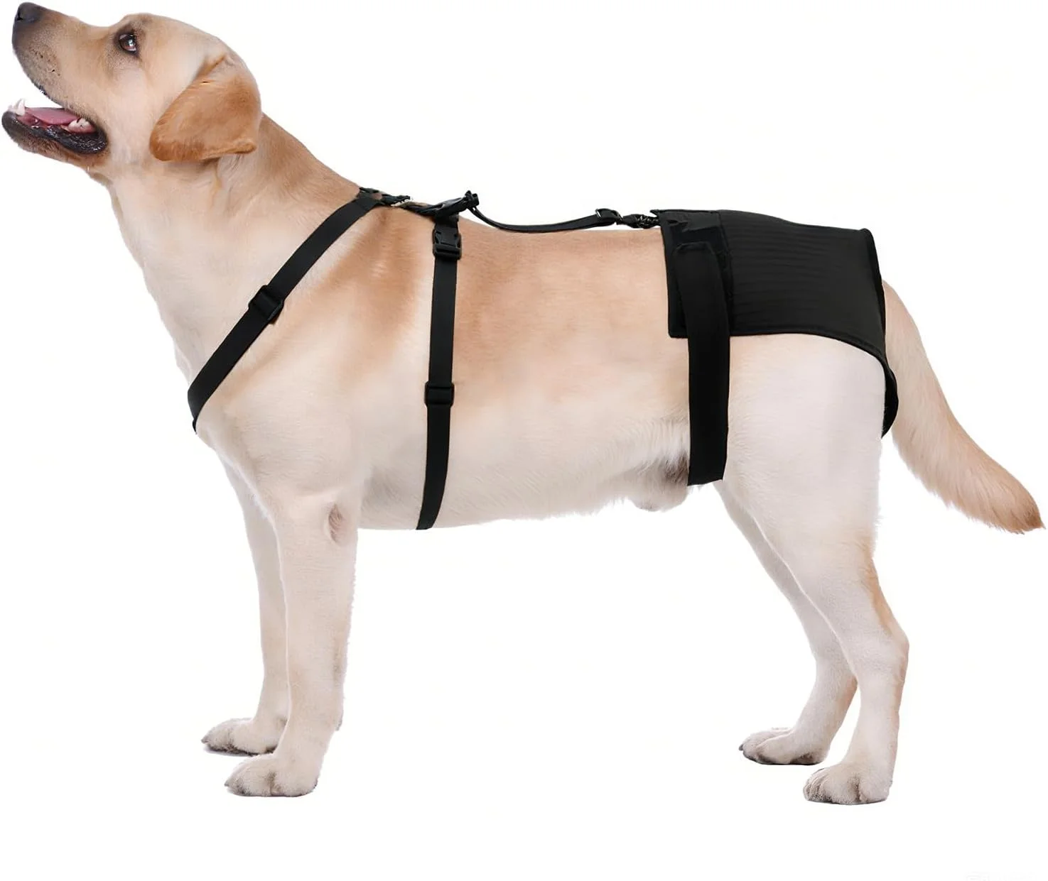 شورت فحلی سگ ماده yrenoer با طراحی هارنس - ضد لغزش، ضد جفت گیری، قابل استفاده مجدد و شستشو، لباس زیر برای محافظت تمام روز (مشکی، M)