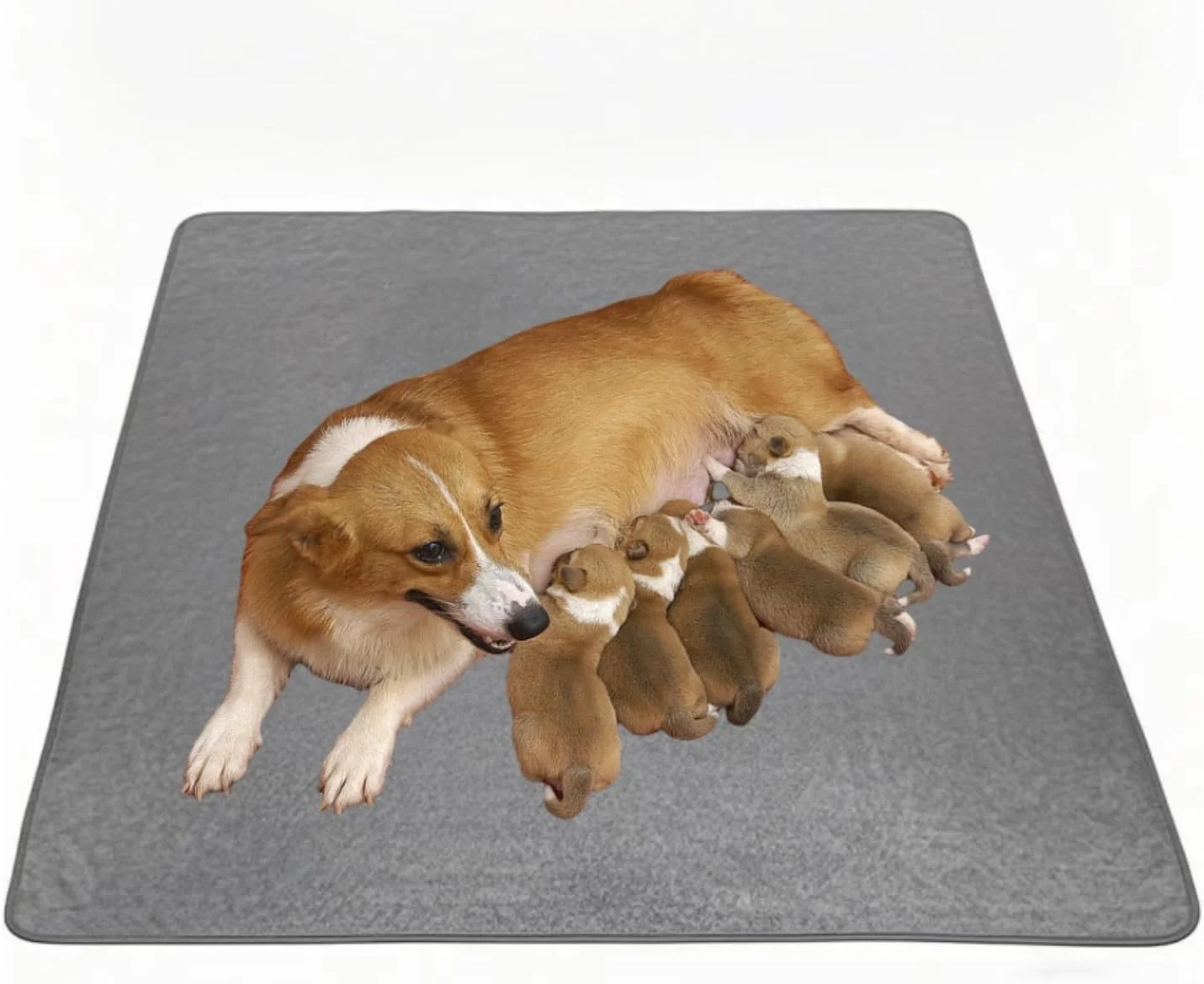 پدهای ادرار بزرگ قابل شستشو YOOTUKL برای سگ ها، پدهای آموزشی توله سگ قابل استفاده مجدد، فوق العاده جاذب، ضد نشت و ضد لغزش برای دستشویی، زایمان، پارک بازی، قفس، مبل، ماشین (خاکستری، 45x60 سانتی متر 2 عدد)