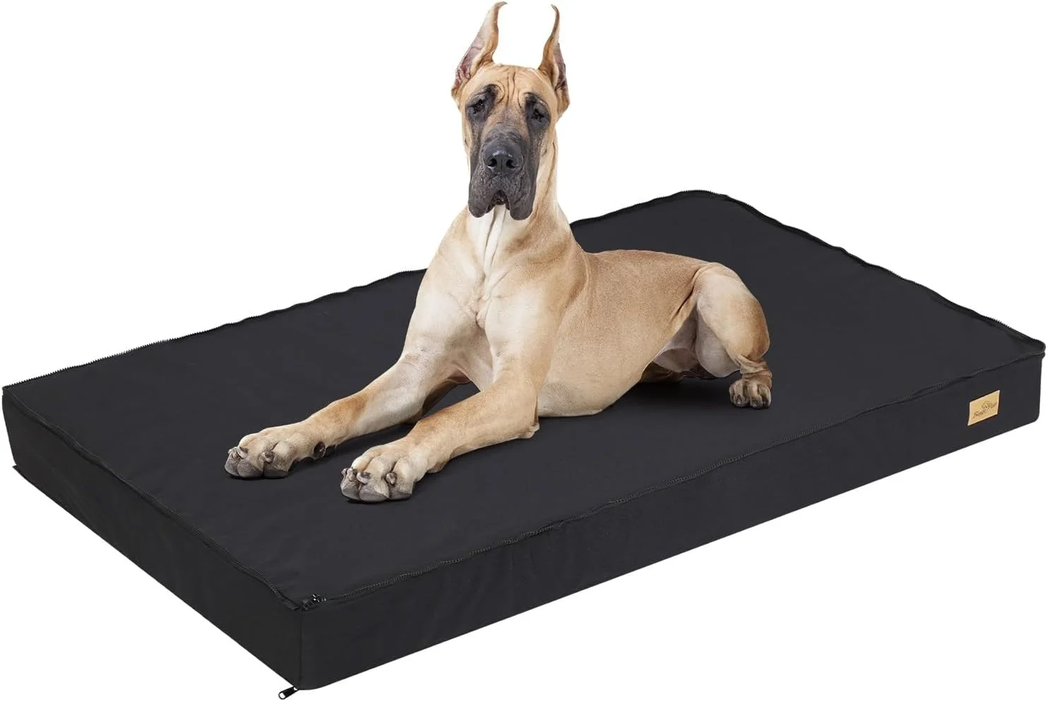 تشک باکس سگ Wisfor: تشک لانه سگ فوم حافظه دار ارتوپدی با روکش ضد آب قابل شستشو و جداشدنی، 120x75x10 سانتی متر تشک باکس سگ Wisfor: تشک لانه سگ فوم حافظه دار ارتوپدی با روکش ضد آب قابل شستشو و جداشدنی، 120x75x10 سانتی متر