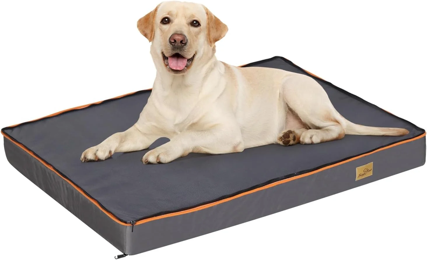 تشک تخت سگ Wisfor سایز ایکس لارج: تخت خواب ارتوپدی مموری فوم برای حیوانات خانگی، تشک ضد آب با روکش قابل جابجایی و شستشو - تشک ضد آب توله سگ برای سگ های بزرگ و گربه ها سایز XL (110x85x10 سانتی متر) تشک تخت سگ Wisfor سایز ایکس لارج: تخت خواب ارتوپدی مموری فوم برای حیوانات خانگی، تشک ضد آب با روکش قابل جابجایی و شستشو - تشک ضد آب توله سگ برای سگ های بزرگ و گربه ها سایز XL (110x85x10 سانتی متر)