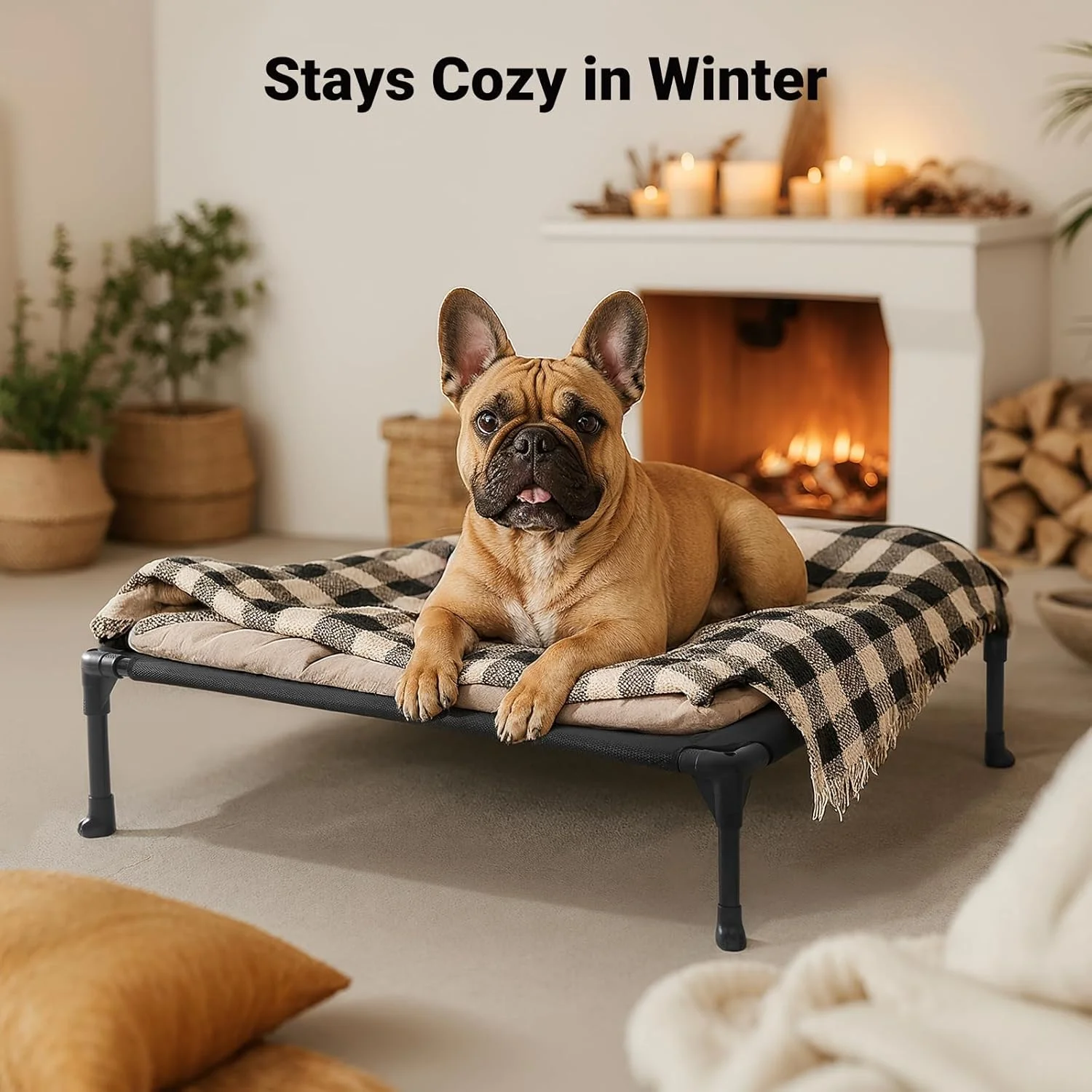 تخت سگ خنک کننده مرتفع Veehoo، تخت حیوانات خانگی قابل حمل با توری قابل شستشو و تنفس پذیر، تخت سگ مقاوم با پایه های ضد لغزش برای استفاده در داخل و خارج از منزل، CWC1803 تخت سگ خنک کننده مرتفع Veehoo، تخت حیوانات خانگی قابل حمل با توری قابل شستشو و تنفس پذیر، تخت سگ مقاوم با پایه های ضد لغزش برای استفاده در داخل و خارج از منزل، CWC1803