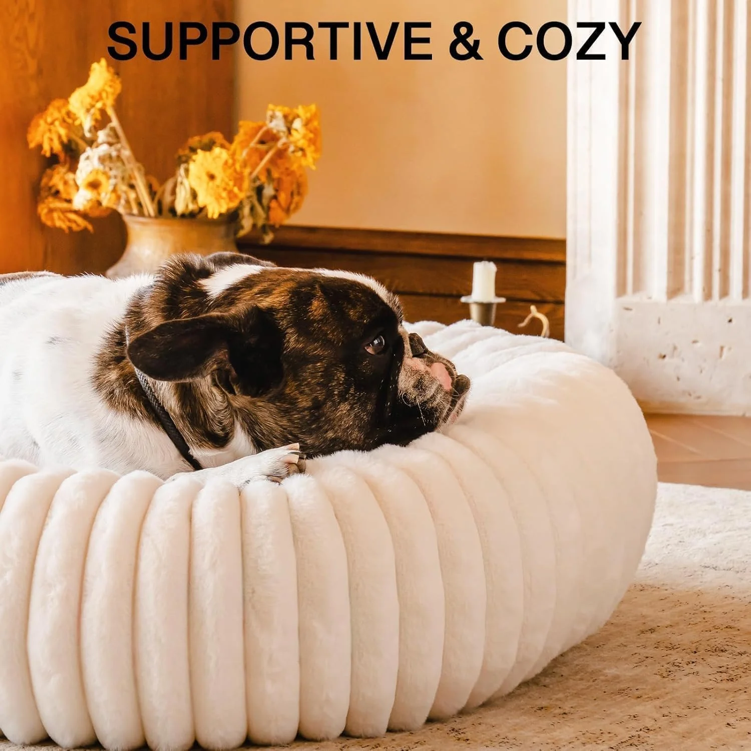 تخت خواب دوناتی سگ YOUWE7 برای سگ های کوچک، تخت خواب حیوانات خانگی متوسط قابل شستشو، تخت خواب آرامش بخش گرد و زیبا برای توله سگ با زیره ضد لغزش، حیوان خانگی کرکی قابل شستشو برای توله سگ و بچه گربه (سفید 90 سانتی متر)