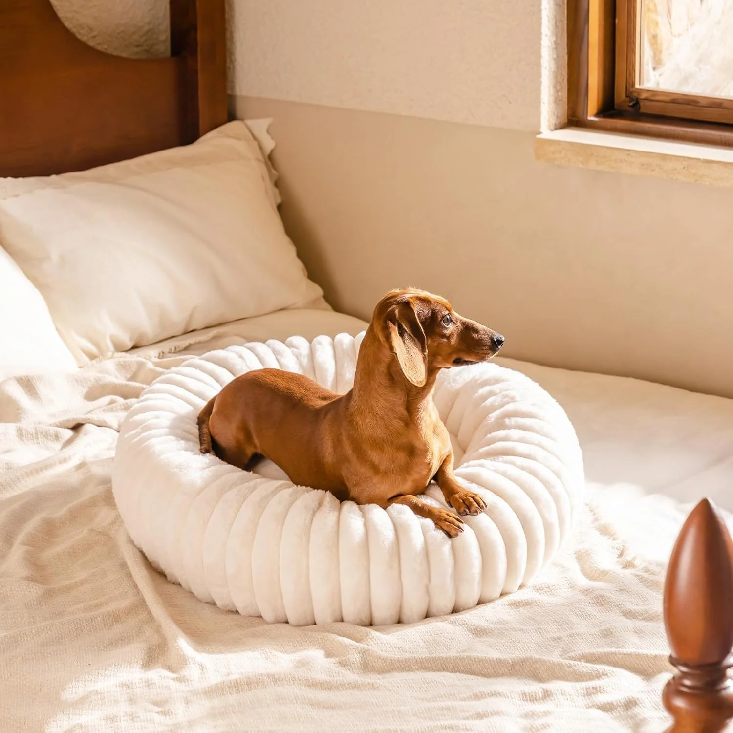 تخت خواب دوناتی سگ YOUWE7 برای سگ های کوچک، تخت خواب حیوانات خانگی متوسط قابل شستشو، تخت خواب آرامش بخش گرد و زیبا برای توله سگ با زیره ضد لغزش، حیوان خانگی کرکی قابل شستشو برای توله سگ و بچه گربه (سفید 90 سانتی متر)