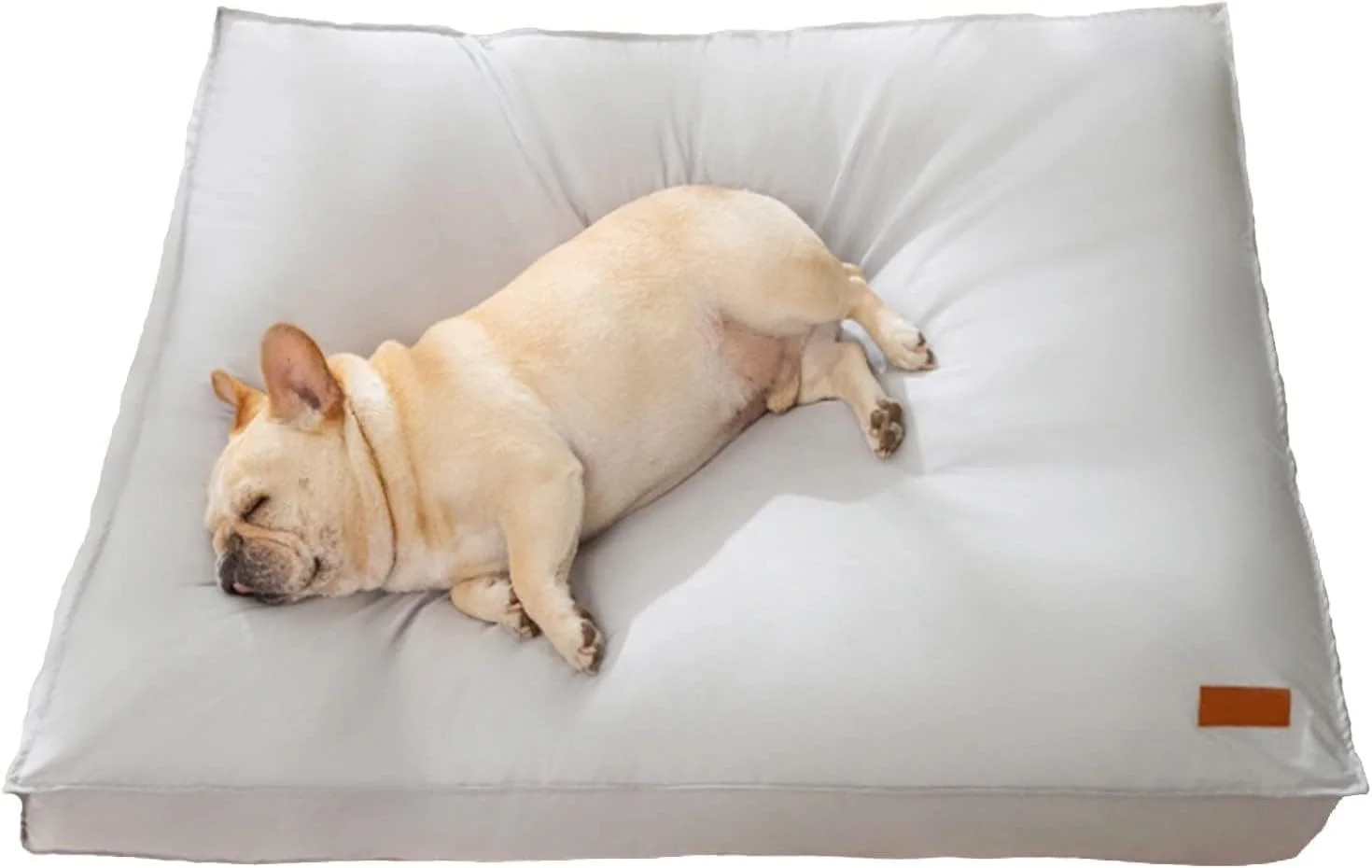 تخت سگ، 80 * 60 * 11 سانتی متر، تخت سگ ضد آب با روکش قابل جابجایی و شستشو، با پد پرکننده سنگین، تشک تخت حیوانات خانگی مناسب برای گربه ها، سگ های کوچک و متوسط ​​و گربه (خاکستری)
