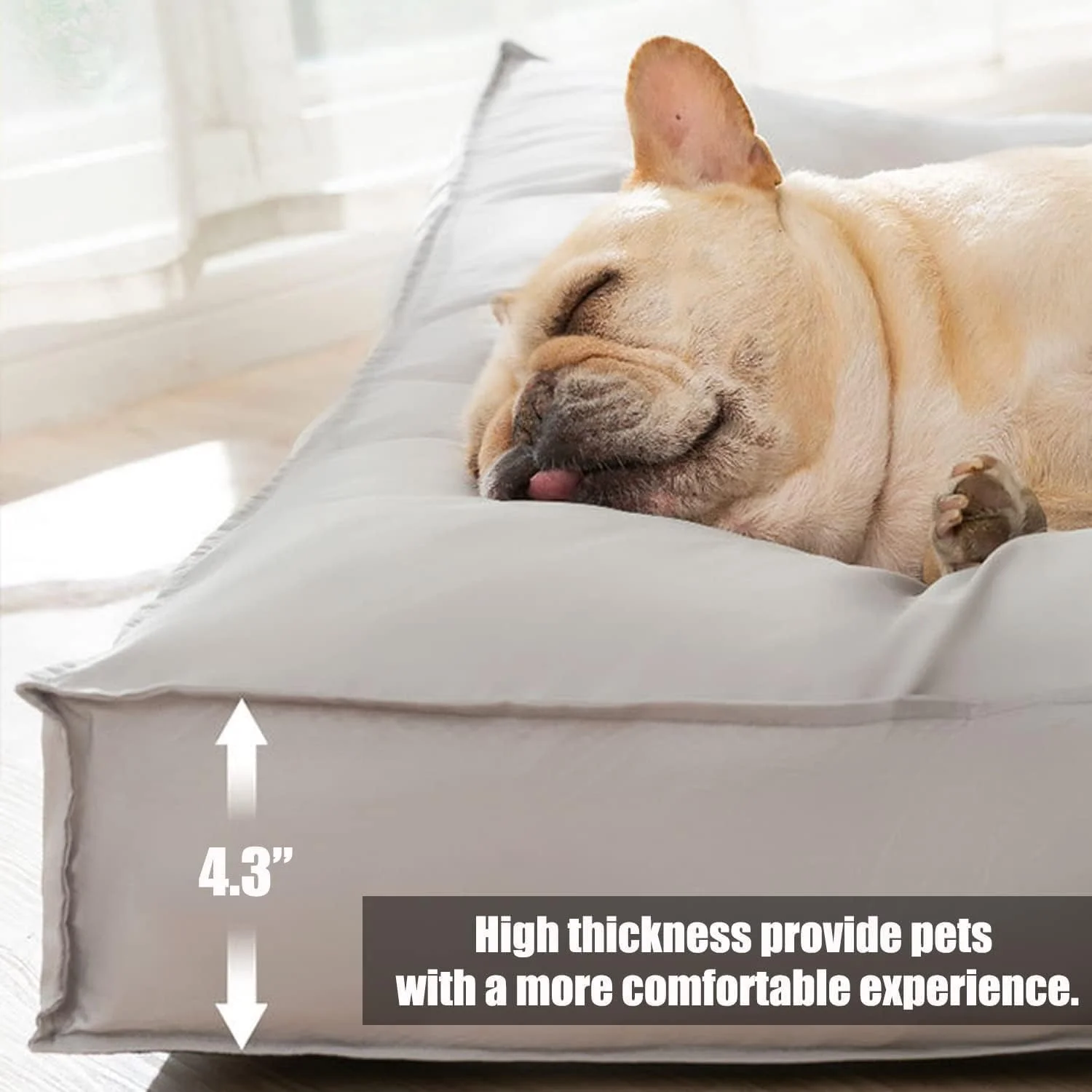 تخت سگ، 80 * 60 * 11 سانتی متر، تخت سگ ضد آب با روکش قابل جابجایی و شستشو، با پد پرکننده سنگین، تشک تخت حیوانات خانگی مناسب برای گربه ها، سگ های کوچک و متوسط و گربه (خاکستری) تخت سگ، 80 * 60 * 11 سانتی متر، تخت سگ ضد آب با روکش قابل جابجایی و شستشو، با پد پرکننده سنگین، تشک تخت حیوانات خانگی مناسب برای گربه ها، سگ های کوچک و متوسط و گربه (خاکستری)