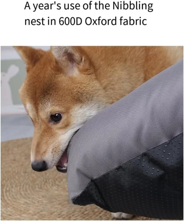 تخت خواب/مبل سگ، مقاوم در برابر آب، برای سگ های کوچک، متوسط ​​و بزرگ، تخت گربه برای گربه های داخل خانه، نرم و راحت، تخت حیوانات خانگی چند منظوره برای خواب، زیره ضد لغزش قابل شستشو (خاکستری - بزرگ)