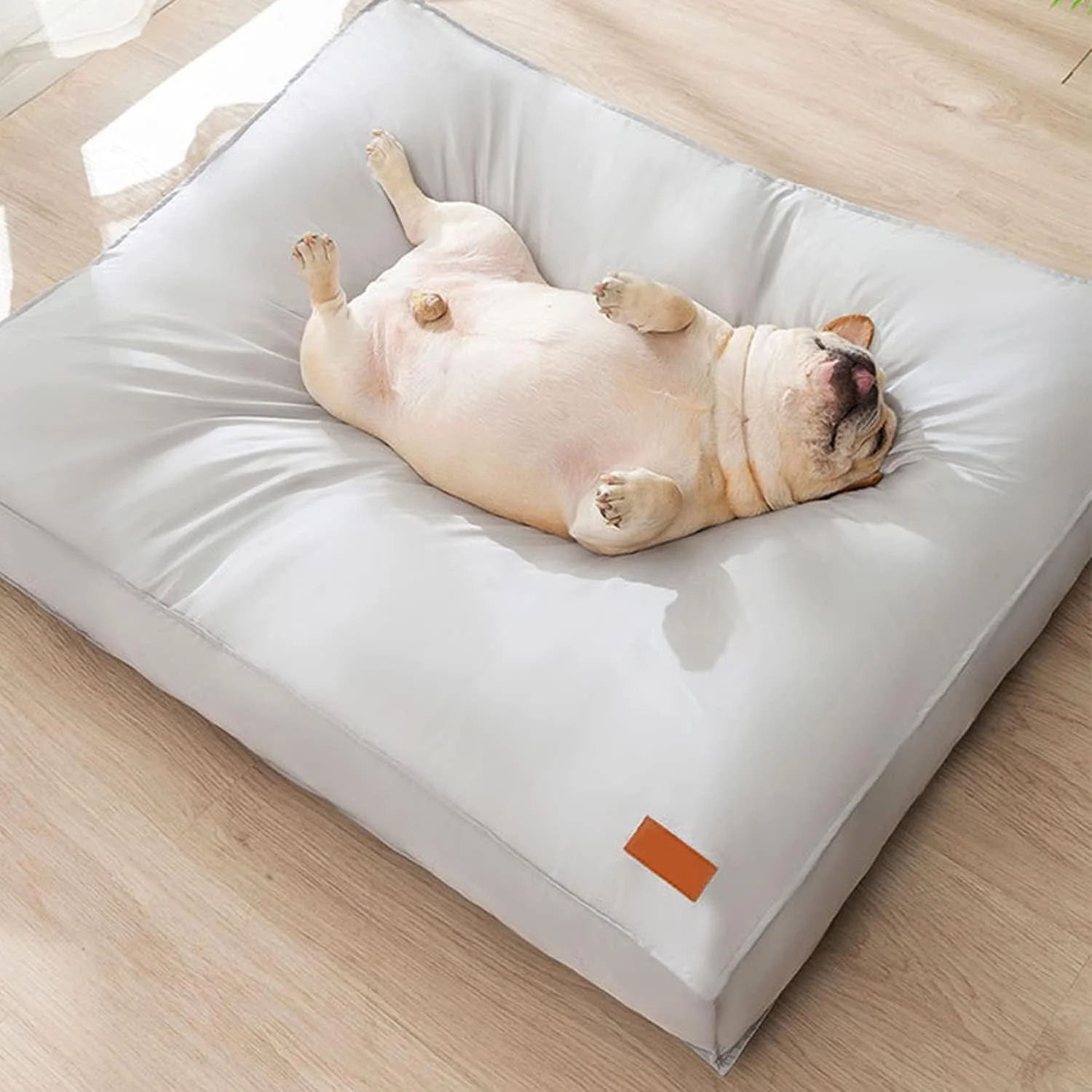 تخت سگ، 80 * 60 * 11 سانتی متر، تخت سگ ضد آب با روکش قابل جابجایی و شستشو، با پد پرکننده سنگین، تشک تخت حیوانات خانگی مناسب برای گربه ها، سگ های کوچک و متوسط و گربه (خاکستری) تخت سگ، 80 * 60 * 11 سانتی متر، تخت سگ ضد آب با روکش قابل جابجایی و شستشو، با پد پرکننده سنگین، تشک تخت حیوانات خانگی مناسب برای گربه ها، سگ های کوچک و متوسط و گربه (خاکستری)