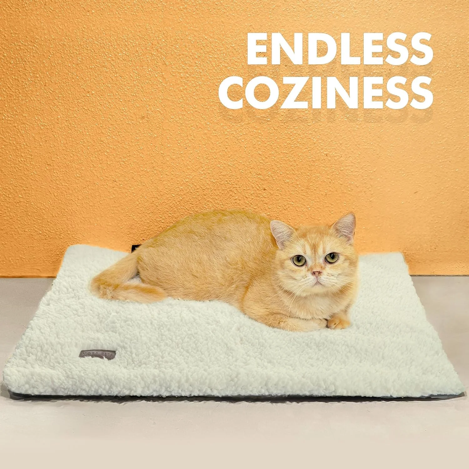 تخت خواب گرم کننده خودکار گربه، تشک گرم کننده خودکار سگ و گربه، 60 در 45 سانتی متر پد حرارتی فوق العاده گرم برای حیوانات خانگی داخل و خارج از منزل با روکش جداشدنی زیره ضد لغزش، پتو و بالشتک خواب حیوانات خانگی قابل شستشو تخت خواب گرم کننده خودکار گربه، تشک گرم کننده خودکار سگ و گربه، 60 در 45 سانتی متر پد حرارتی فوق العاده گرم برای حیوانات خانگی داخل و خارج از منزل با روکش جداشدنی زیره ضد لغزش، پتو و بالشتک خواب حیوانات خانگی قابل شستشو