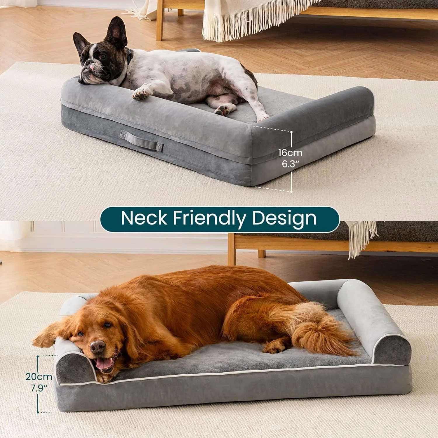 تخت سگ Supreouts سایز متوسط، تخت سگ بزرگ با فوم تخم مرغی، تخت ارتوپدی قابل شستشو با روکش ضد آب قابل جابجایی، تخت کاناپه ای بزرگ ضد آب (L) تخت سگ Supreouts سایز متوسط، تخت سگ بزرگ با فوم تخم مرغی، تخت ارتوپدی قابل شستشو با روکش ضد آب قابل جابجایی، تخت کاناپه ای بزرگ ضد آب (L)