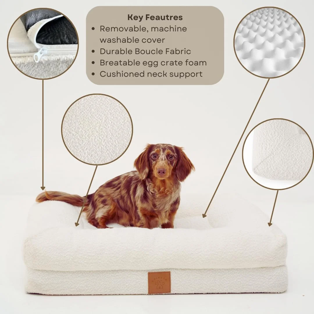 تخت خواب کوچک سگ - تخت حیوانات خانگی زیبا با پارچه بوکله سفید - روکش قابل جابجایی و شستشو - فوم جعبه تخم مرغی برای پشتیبانی از مفاصل (عرض: 73 x عمق 58 x ارتفاع: 15 سانتی متر). AND Paws Co. تخت خواب کوچک سگ - تخت حیوانات خانگی زیبا با پارچه بوکله سفید - روکش قابل جابجایی و شستشو - فوم جعبه تخم مرغی برای پشتیبانی از مفاصل (عرض: 73 x عمق 58 x ارتفاع: 15 سانتی متر). AND Paws Co.