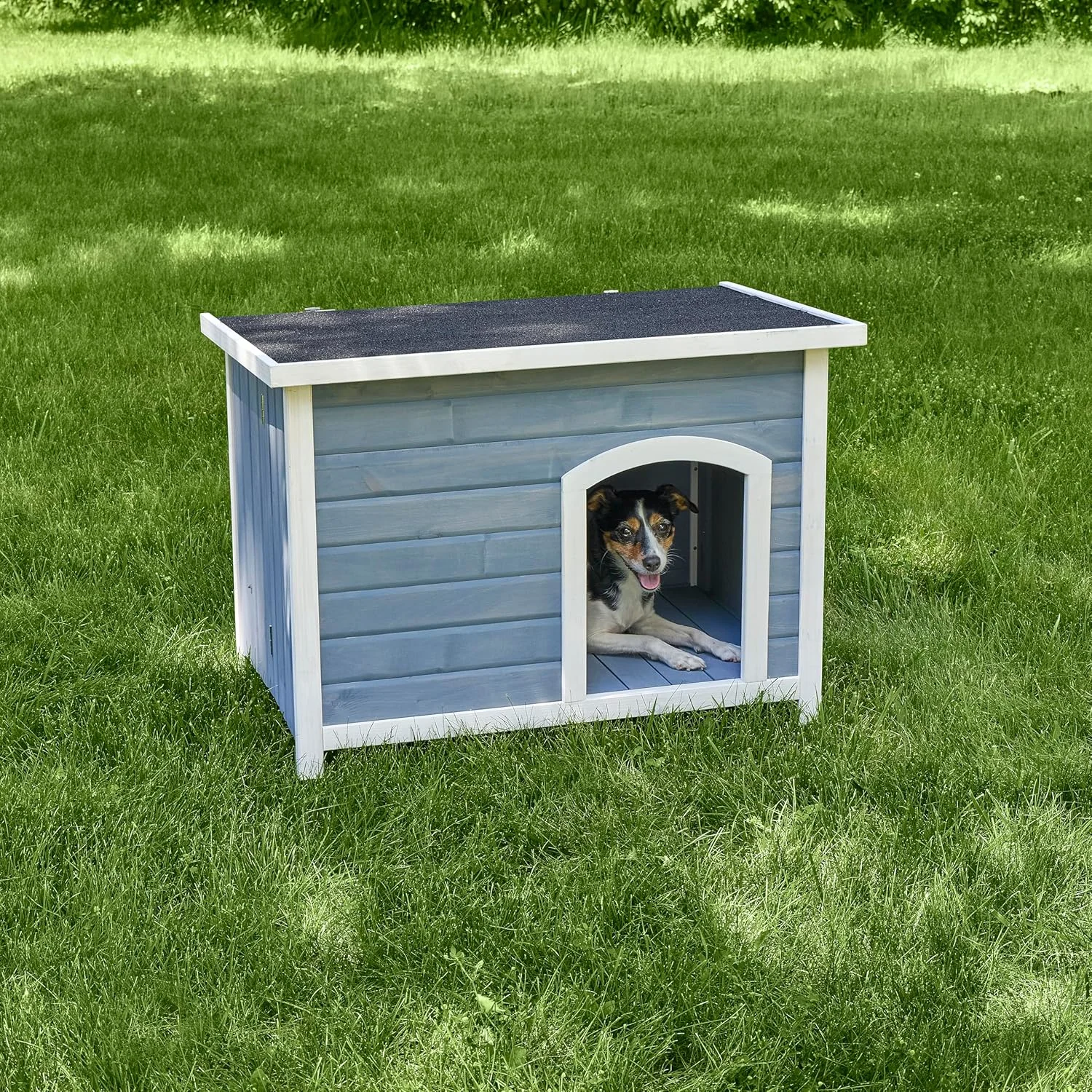 خانه سگ چوبی تاشو Eilio از MidWest Homes for Pets، بدون نیاز به ابزار برای مونتاژ، 54.61 سانتی متر طول × 85 سانتی متر عرض × 64.11 سانتی متر ارتفاع، ایده آل برای نژادهای کوچک سگ، خاکستری