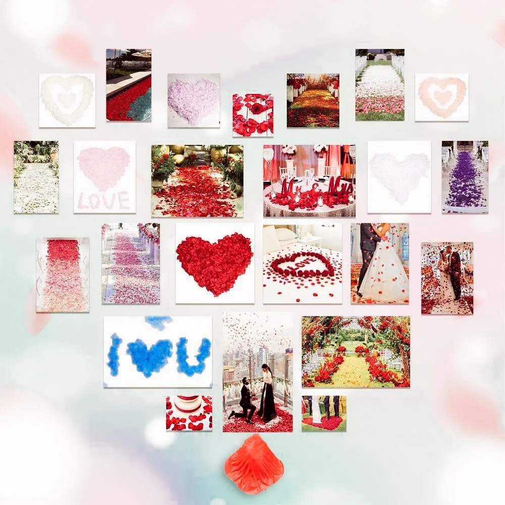 ۱۰۰۰ عدد گلبرگ رز، گلبرگ های گل مصنوعی، گلبرگ های رز ابریشمی قرمز برای عروسی، پیشنهاد سالگرد، شب عاشقانه، تزئینات گل (قرمز، ۱۰۰۰ عدد) ۱۰۰۰ عدد گلبرگ رز، گلبرگ های گل مصنوعی، گلبرگ های رز ابریشمی قرمز برای عروسی، پیشنهاد سالگرد، شب عاشقانه، تزئینات گل (قرمز، ۱۰۰۰ عدد)