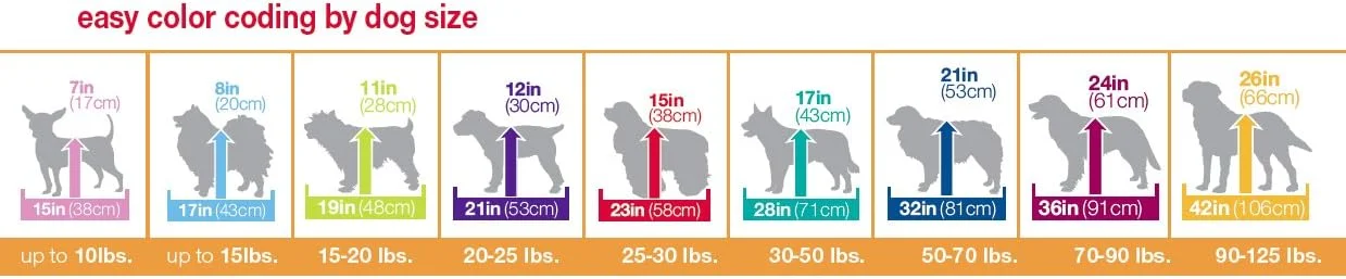 قفس سیمی آموزشی دو درب Petmate، 19 اینچ، مشکی قفس سیمی آموزشی دو درب Petmate، 19 اینچ، مشکی