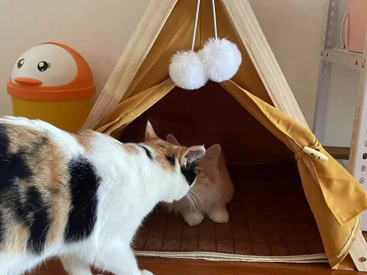 خانه چادری گربه کیوسکار، پناهگاه دنج برای حیوانات خانگی داخل خانه، بادوام و راحت، تمیز کردن آسان، اندازه: 23.6 * 21.7 * 24.8 اینچ