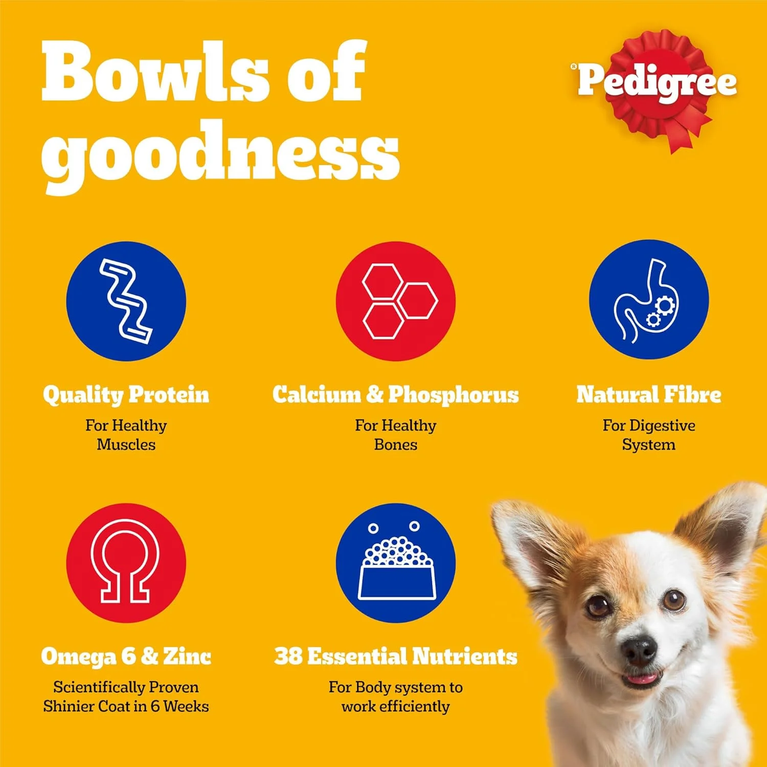 غذای خشک سگ پدیگری، مخصوص سگ های بالغ نژاد کوچک، طعم گوشت گاو، بره و سبزیجات، 1.5 کیلوگرم، غذای خشک کامل و متعادل برای سگ های بالغ نژاد کوچک 9 ماهه و بالاتر غذای خشک سگ پدیگری، مخصوص سگ های بالغ نژاد کوچک، طعم گوشت گاو، بره و سبزیجات، 1.5 کیلوگرم، غذای خشک کامل و متعادل برای سگ های بالغ نژاد کوچک 9 ماهه و بالاتر