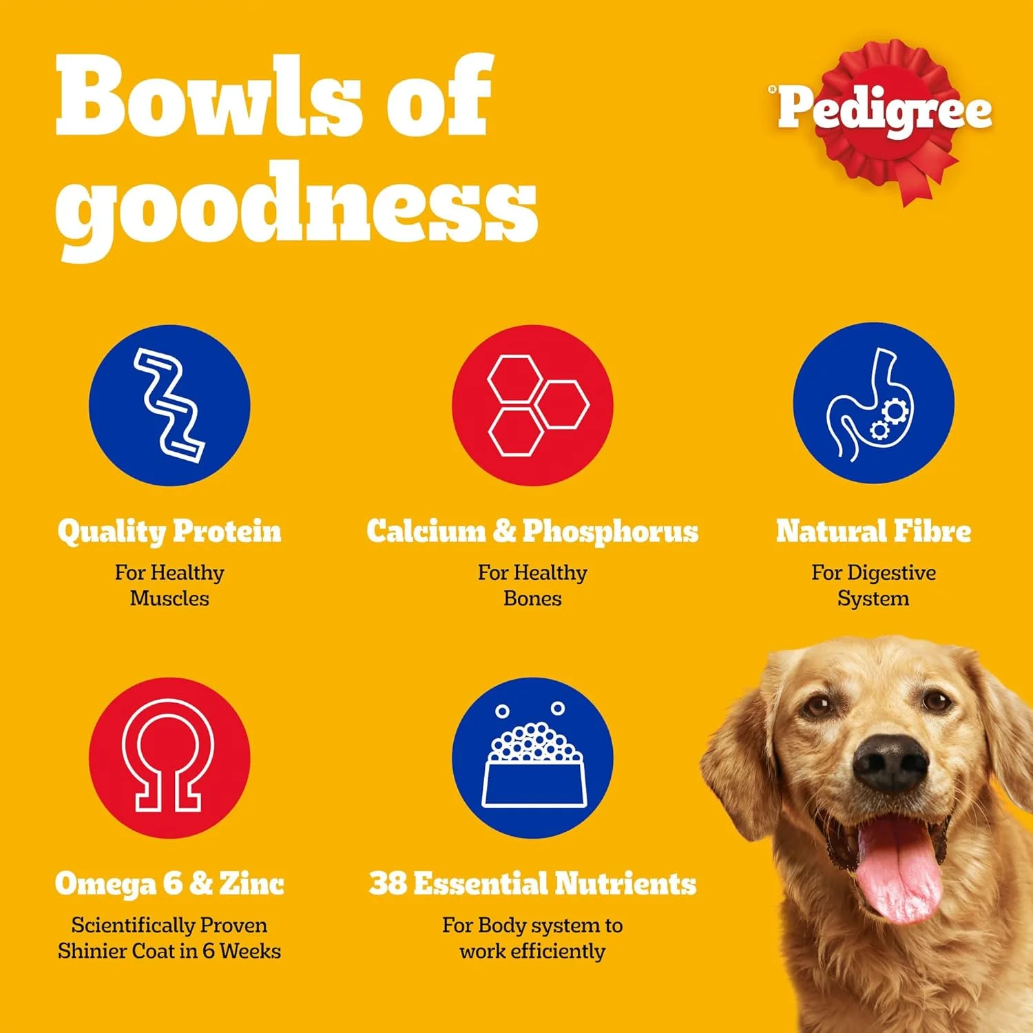 غذای خشک سگ پدیگری، طعم گوشت گاو و سبزیجات، 3 کیلوگرم، غذای خشک کامل و متعادل برای سگ های بالغ