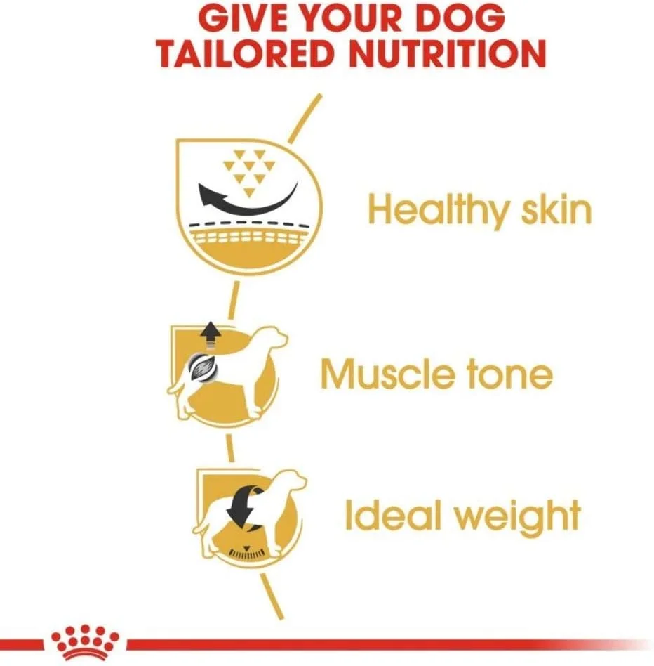 غذای خشک سگ بالغ نژاد پاگ رویال کنین - 7.5 کیلوگرم