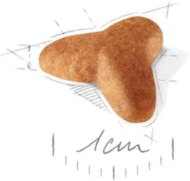 غذای خشک سگ پاگ توله رویال کنین - 1.5 کیلوگرم