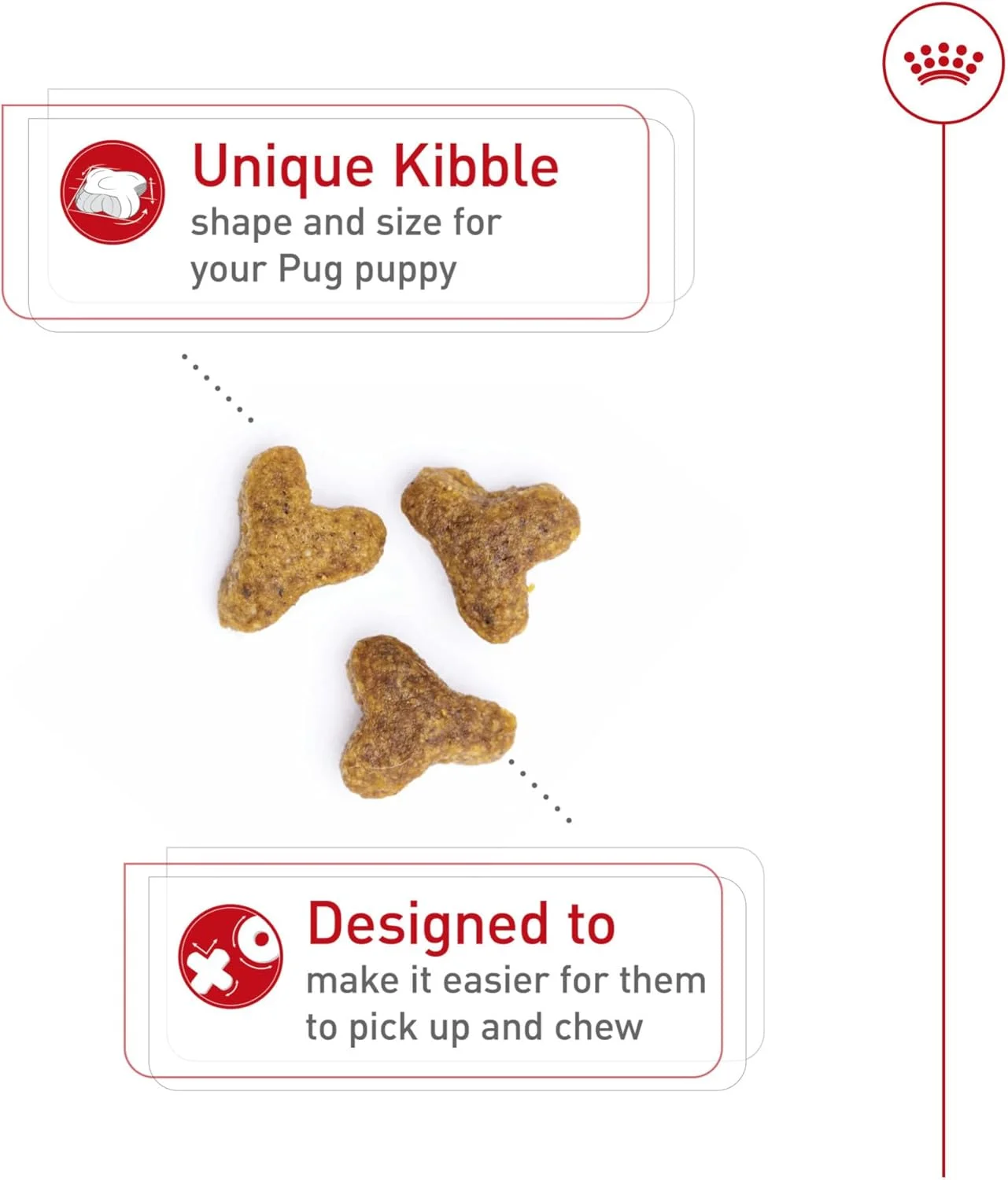 غذای خشک سگ نژاد پاگ توله رویال کنین، کیسه 2.5 پوندی غذای خشک سگ نژاد پاگ توله رویال کنین، کیسه 2.5 پوندی