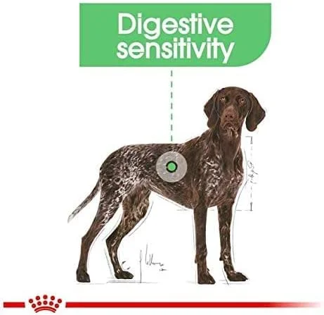 غذای خشک سگ رویال کنین مدل Maxi Digestive Care وزن 10 کیلوگرم