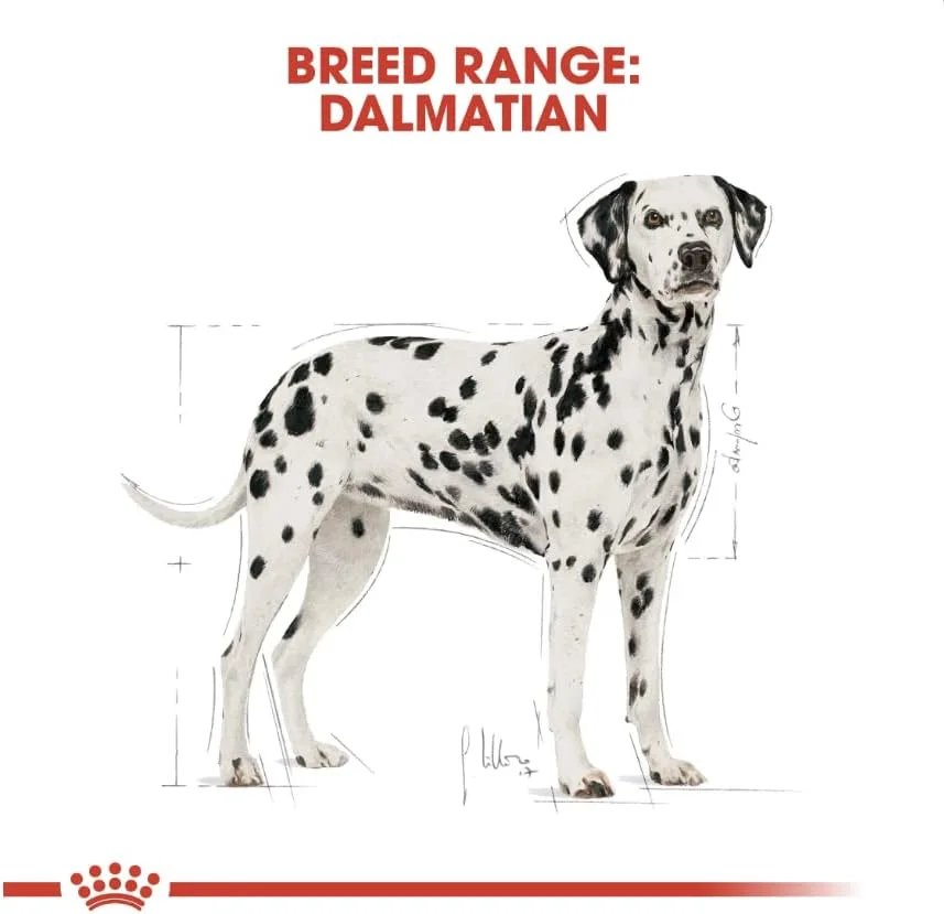 غذای خشک سگ بالغ نژاد دالمیشن رویال کنین، 12 کیلوگرم