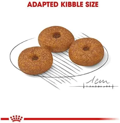 غذای خشک سگ رویال کنین سایز مینی ایجینگ 12+، 1.5 کیلوگرم