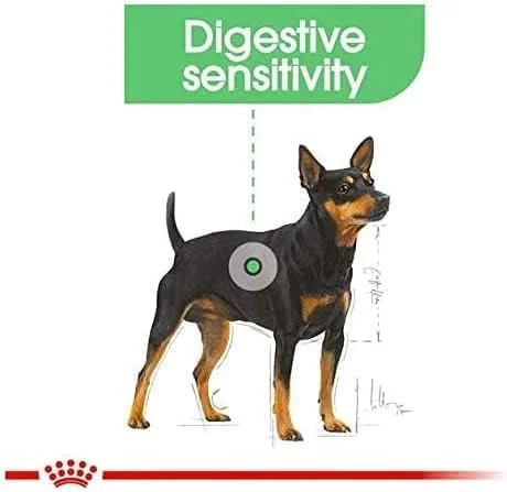 غذای خشک سگ رویال کنین مینی دایجستیو کر 3 کیلوگرمی غذای خشک سگ رویال کنین مینی دایجستیو کر 3 کیلوگرمی