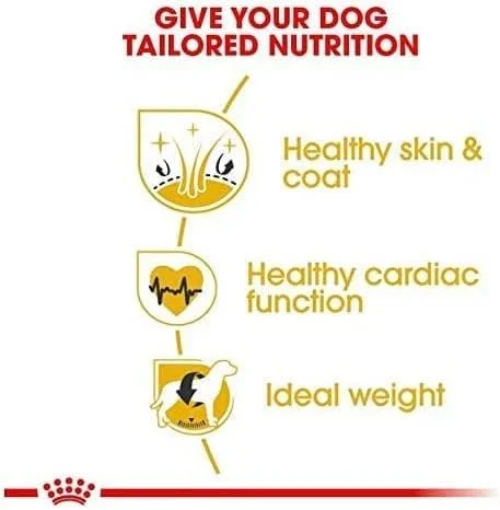 غذای خشک سگ بالغ نژاد گلدن رتریور رویال کنین، 12 کیلوگرم