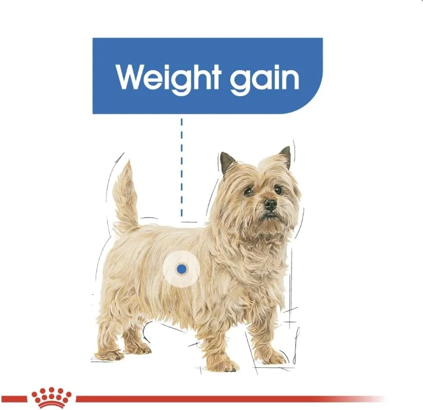 غذای خشک سگ رویال کنین مینی لایت ویت کر ۳ کیلوگرمی