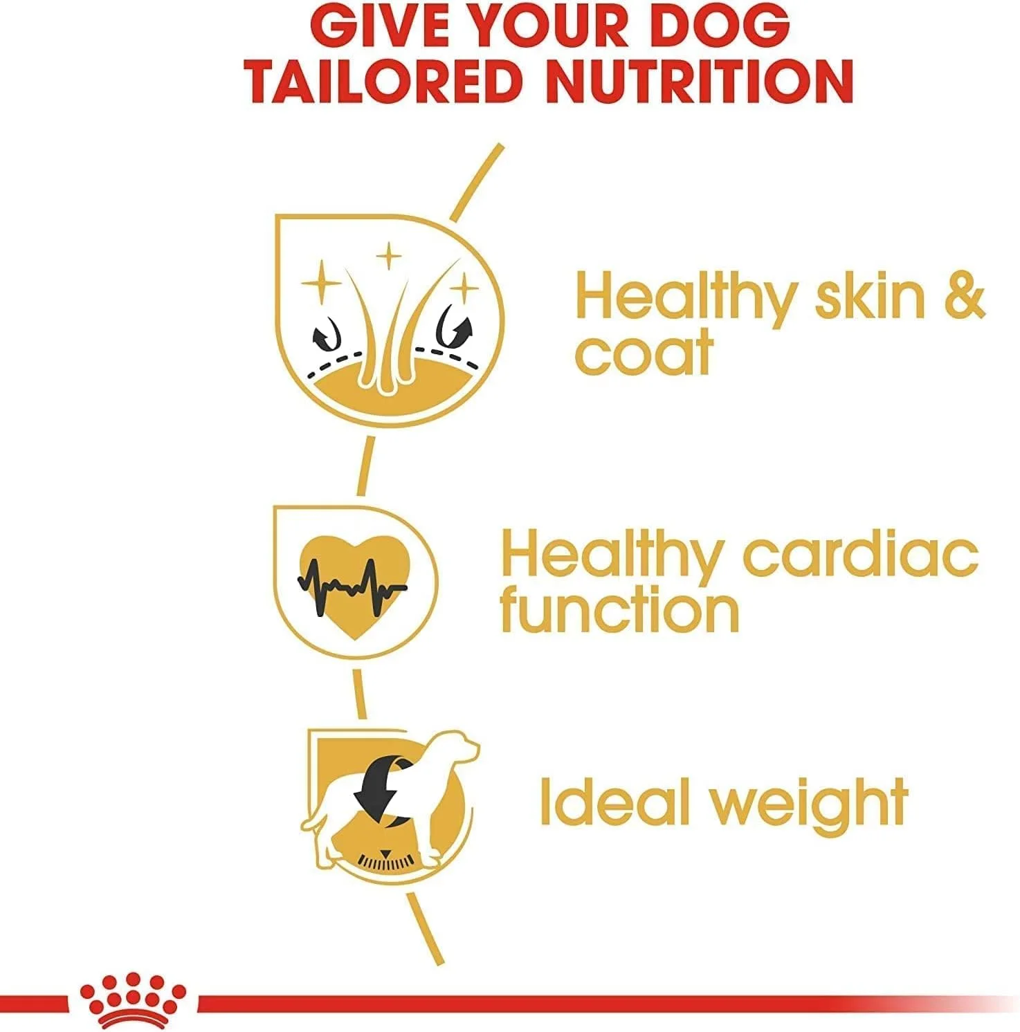 غذای خشک سگ بالغ نژاد گلدن رتریور رویال کنین، 12 کیلوگرم