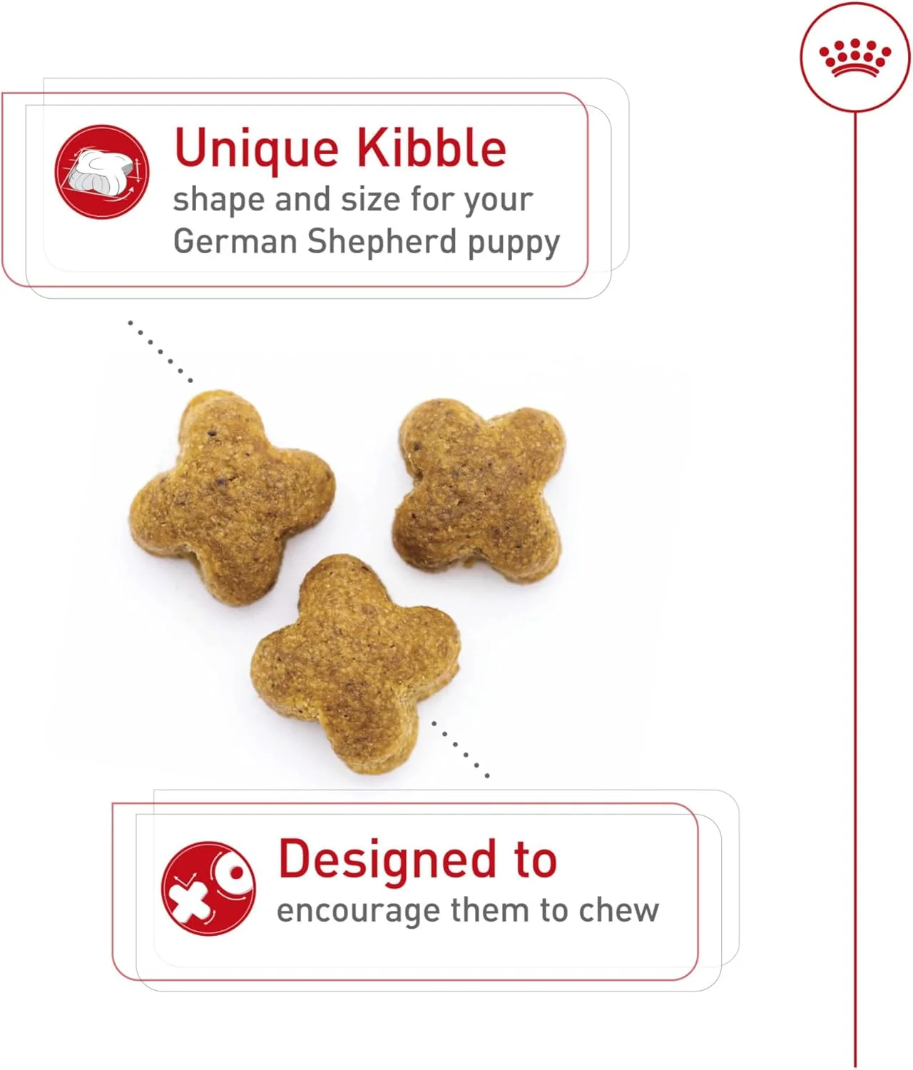 غذای خشک توله سگ نژاد ژرمن شپرد رویال کنین