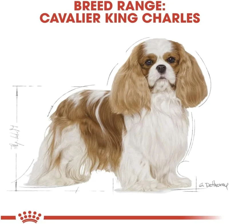 غذای خشک سگ بالغ نژاد کاوالیر کینگ چارلز رویال کنین 1.5 کیلوگرمی